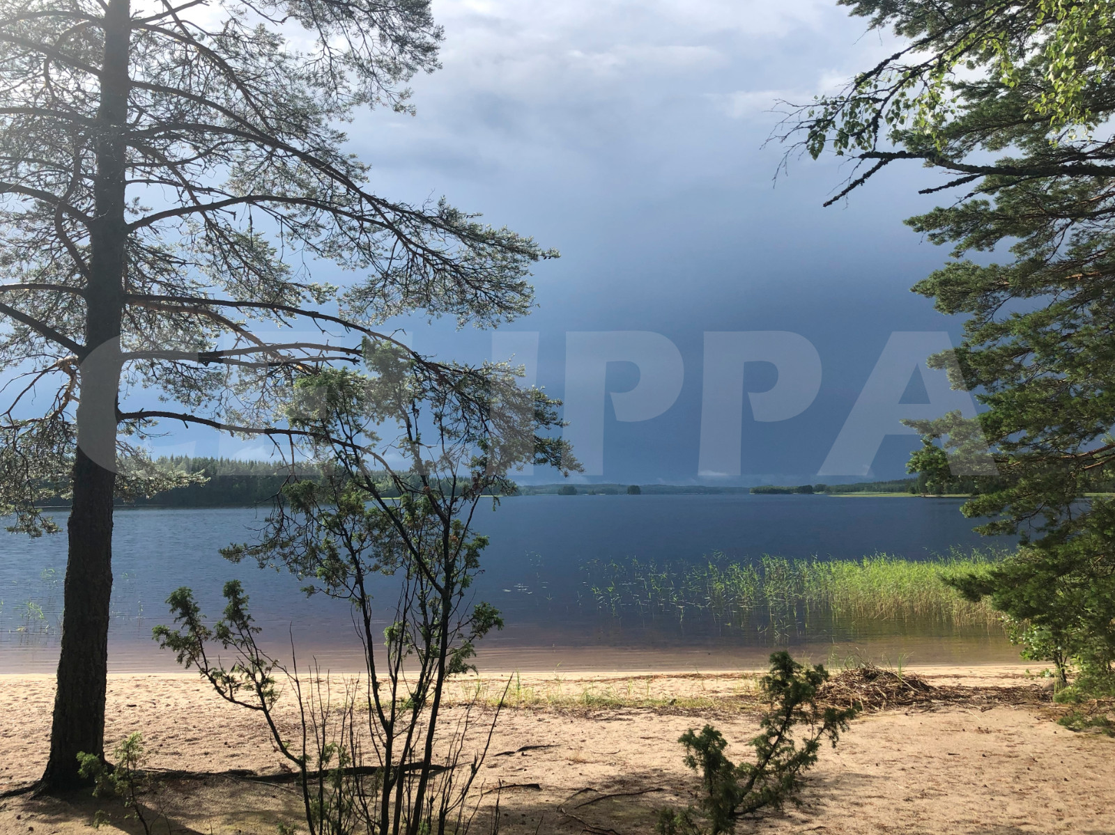 Photo Digital Product Wallpaper Image Picture Background Desktop Art -Lake.Fores