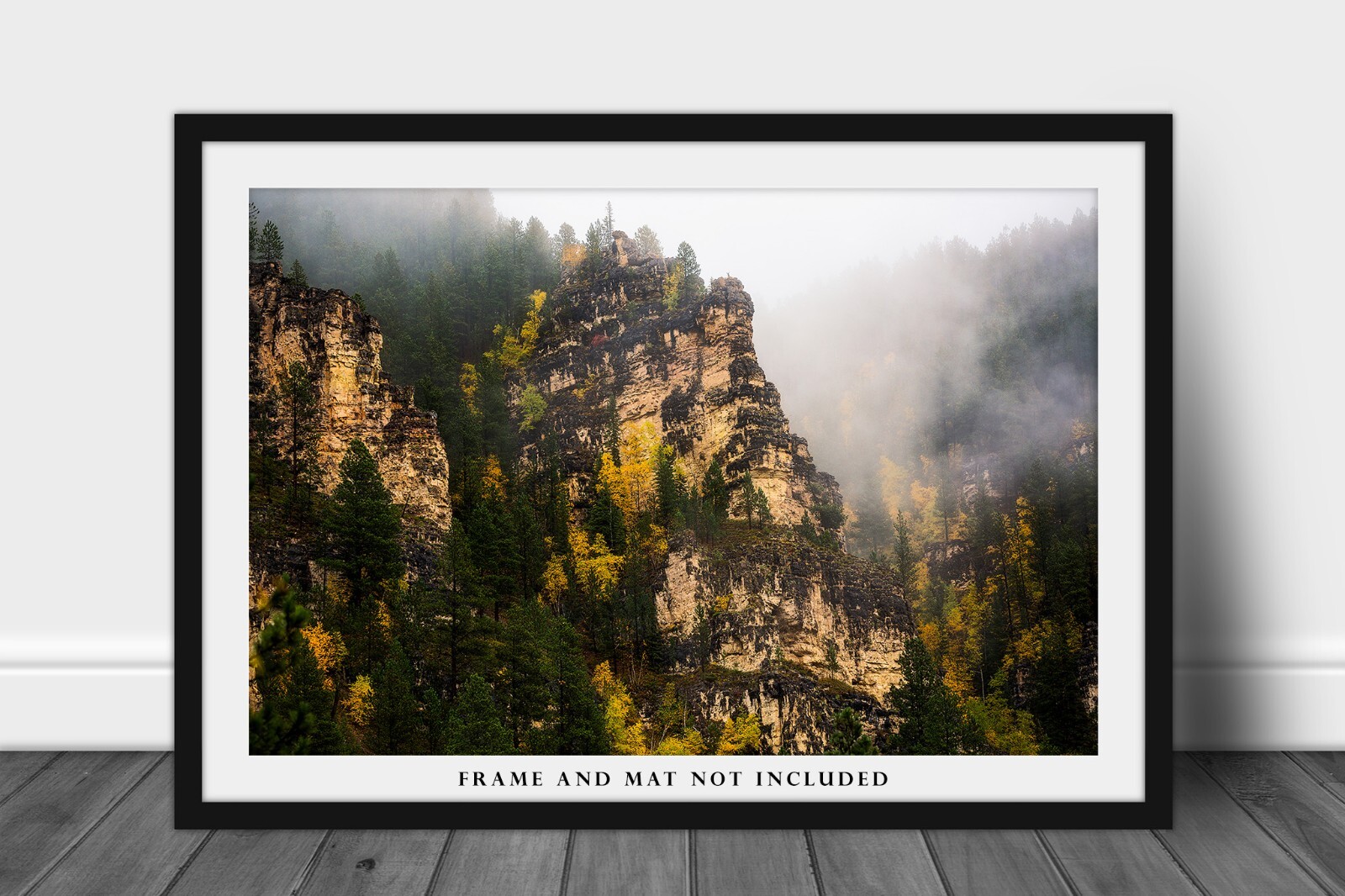 Black Hills Photography Print – Picture of Spearfish Canyon in South Dakota