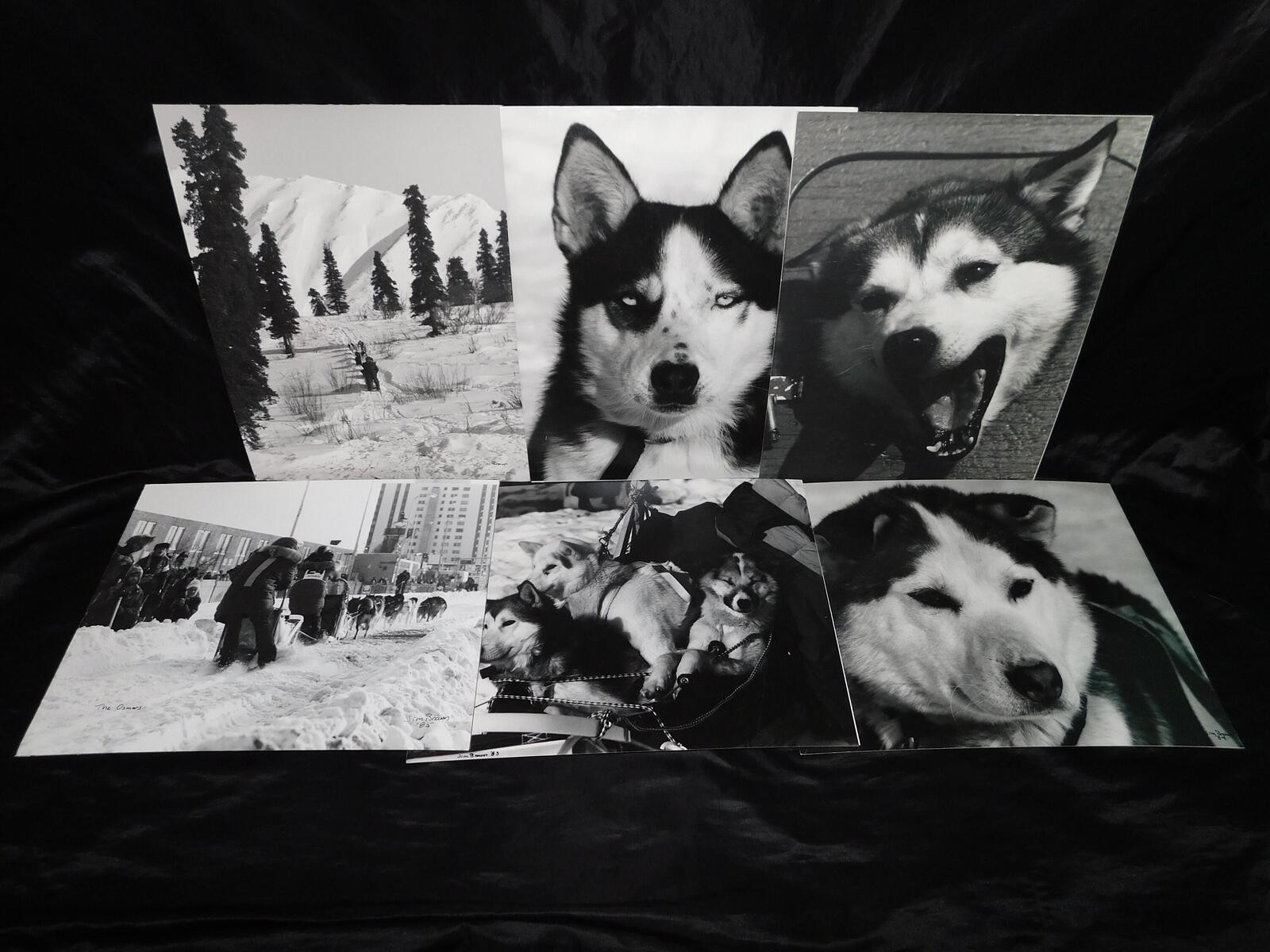 Alaska Iditarod Dog Sled Race 1985 Jim Brown Signed Mounted Set 6 Photos