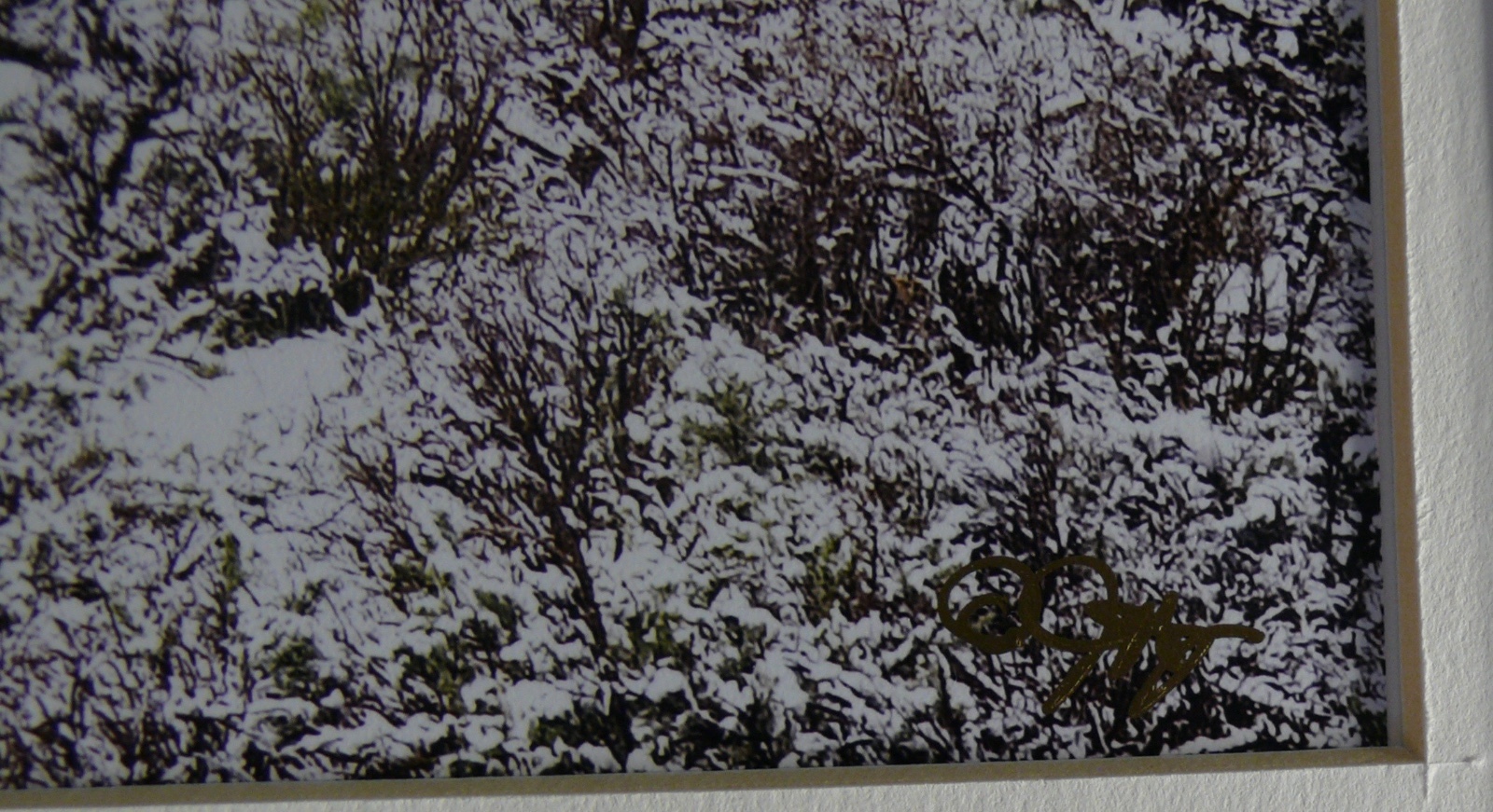 JUDY DEIST PHOTOGRAPH RIDERS IN SNOWY SAGE OPEN EDITION