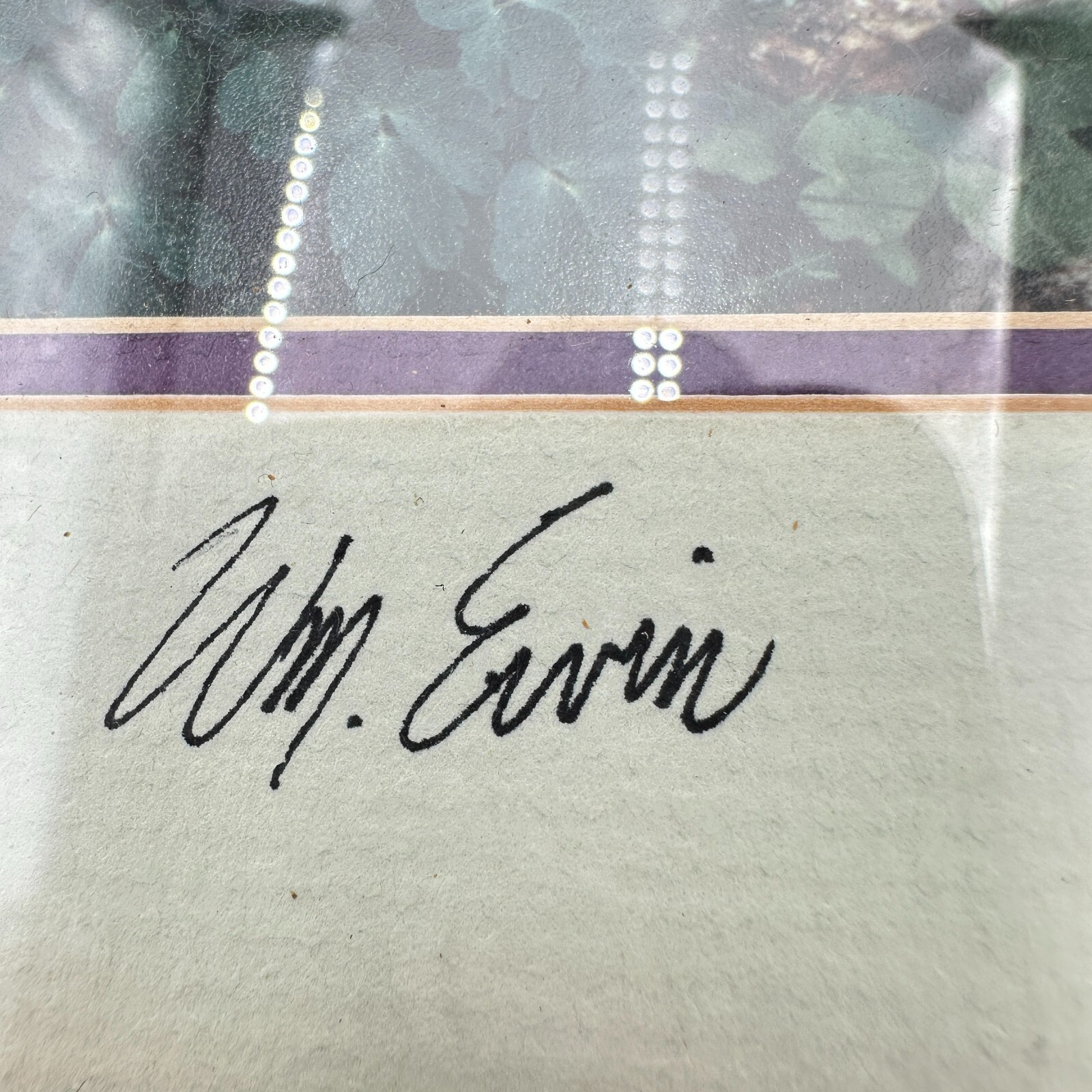 Vtg Natural Imagery Colorado Blue Columbine Photography by William Ervin Signed