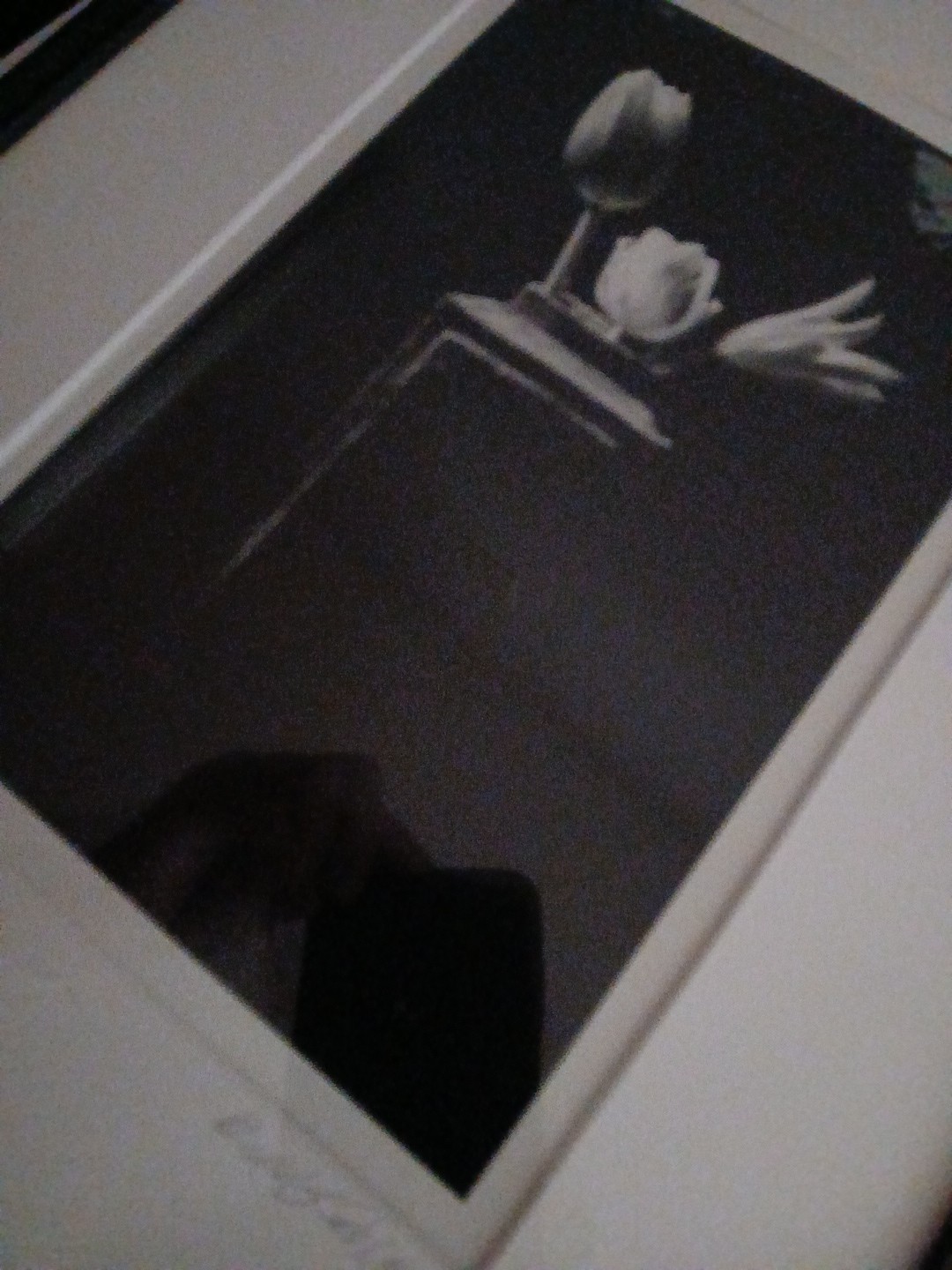 Framed Signed Dated PHOTOGRAPH Black & White Flowers/Vase 1989-14.75″H X 12″L