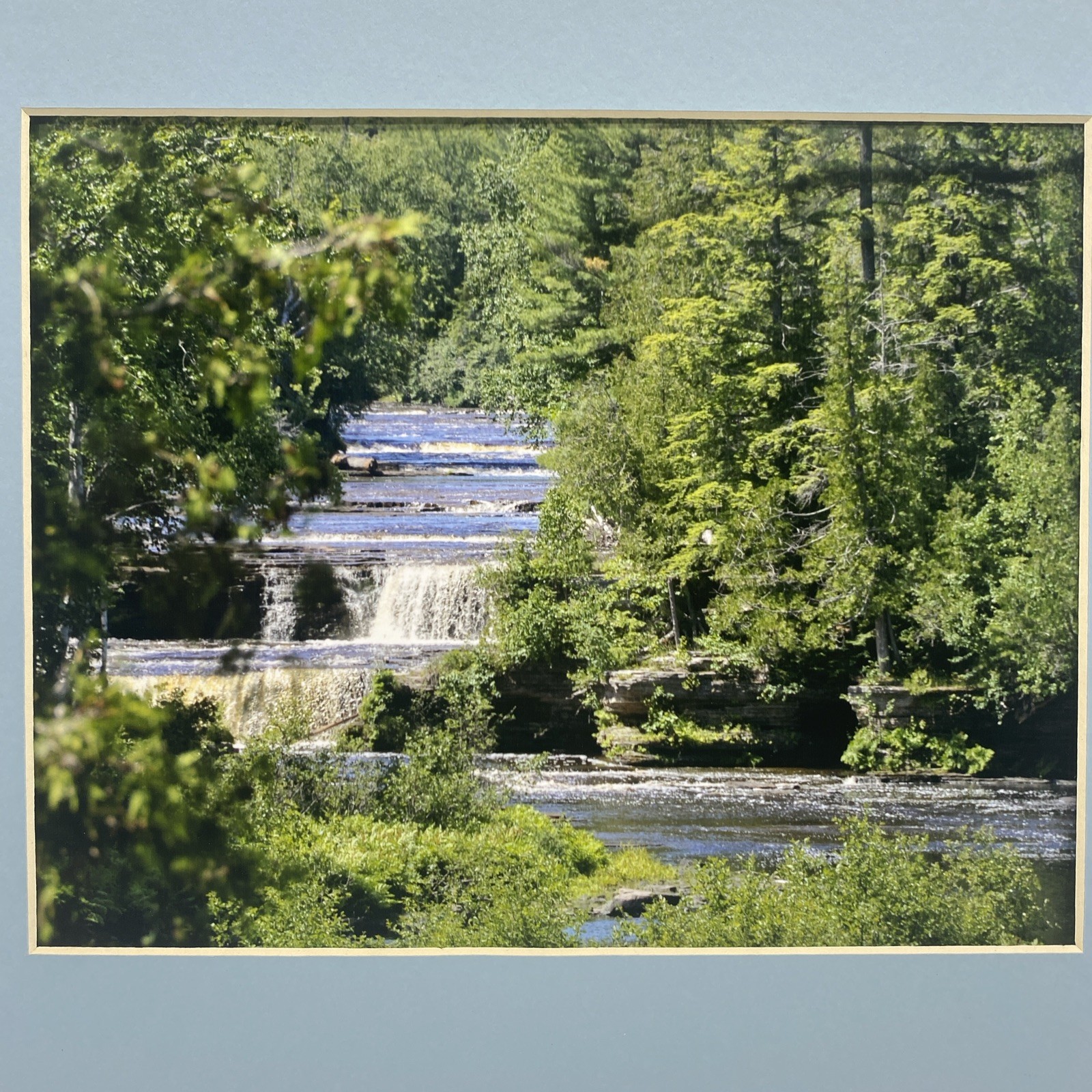 Matted River Forest Landscape Photo Print 11 X 14 Wall Art Gallery Decor