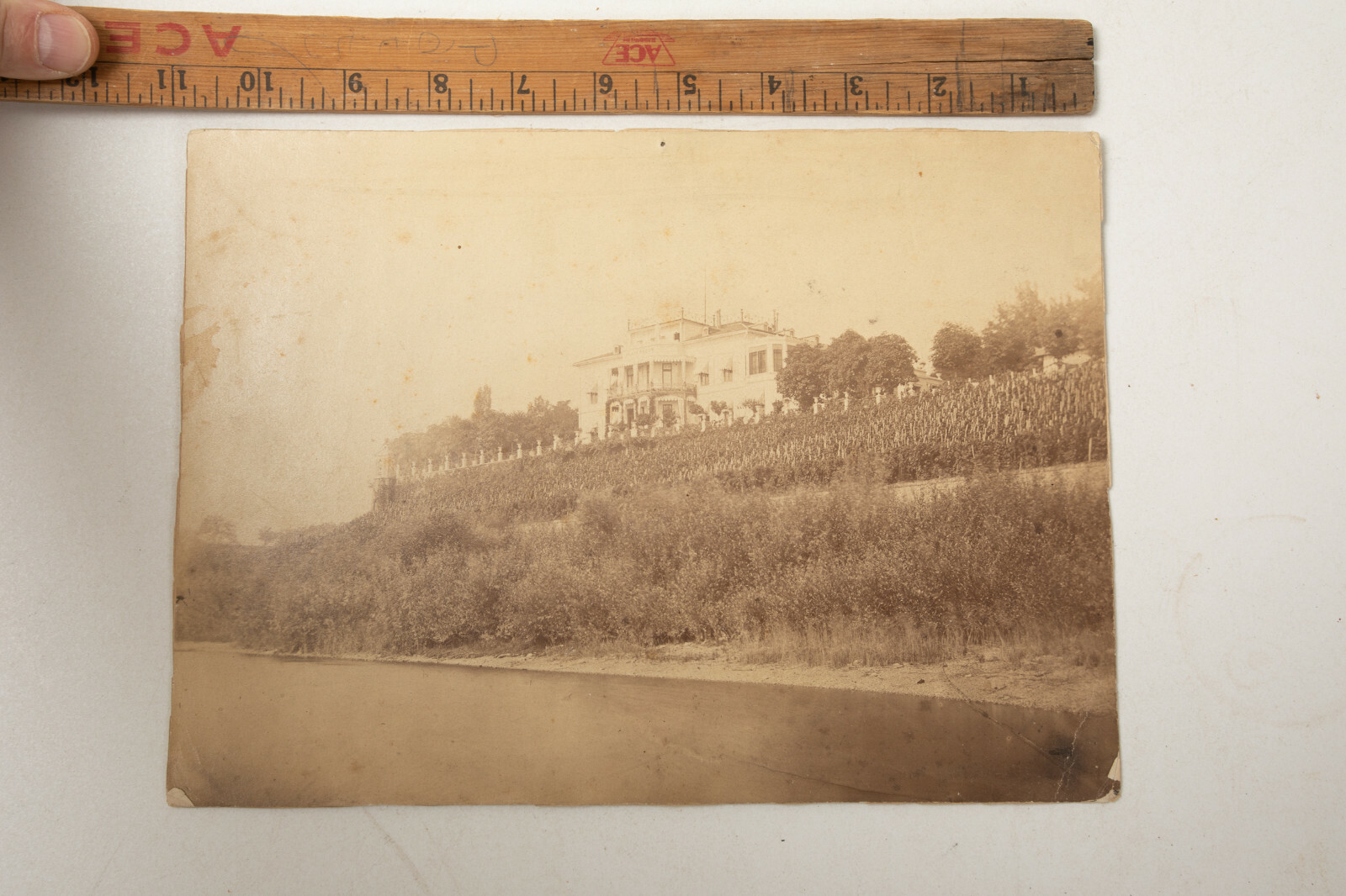 Photograph of Estate Coastal Dr. Frank LaFay Neubauer (N6R) Los Angeles Artist