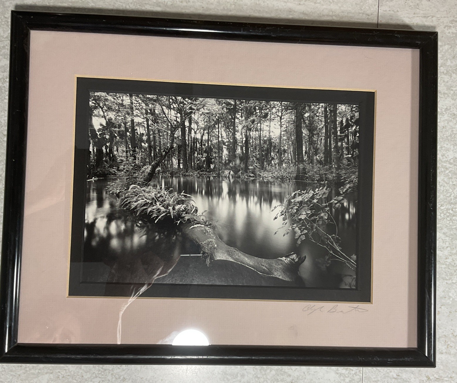 Clyde Butcher Signed Photograph Loxahatchee River #1 Framed 9.5” X 6.5” Photo