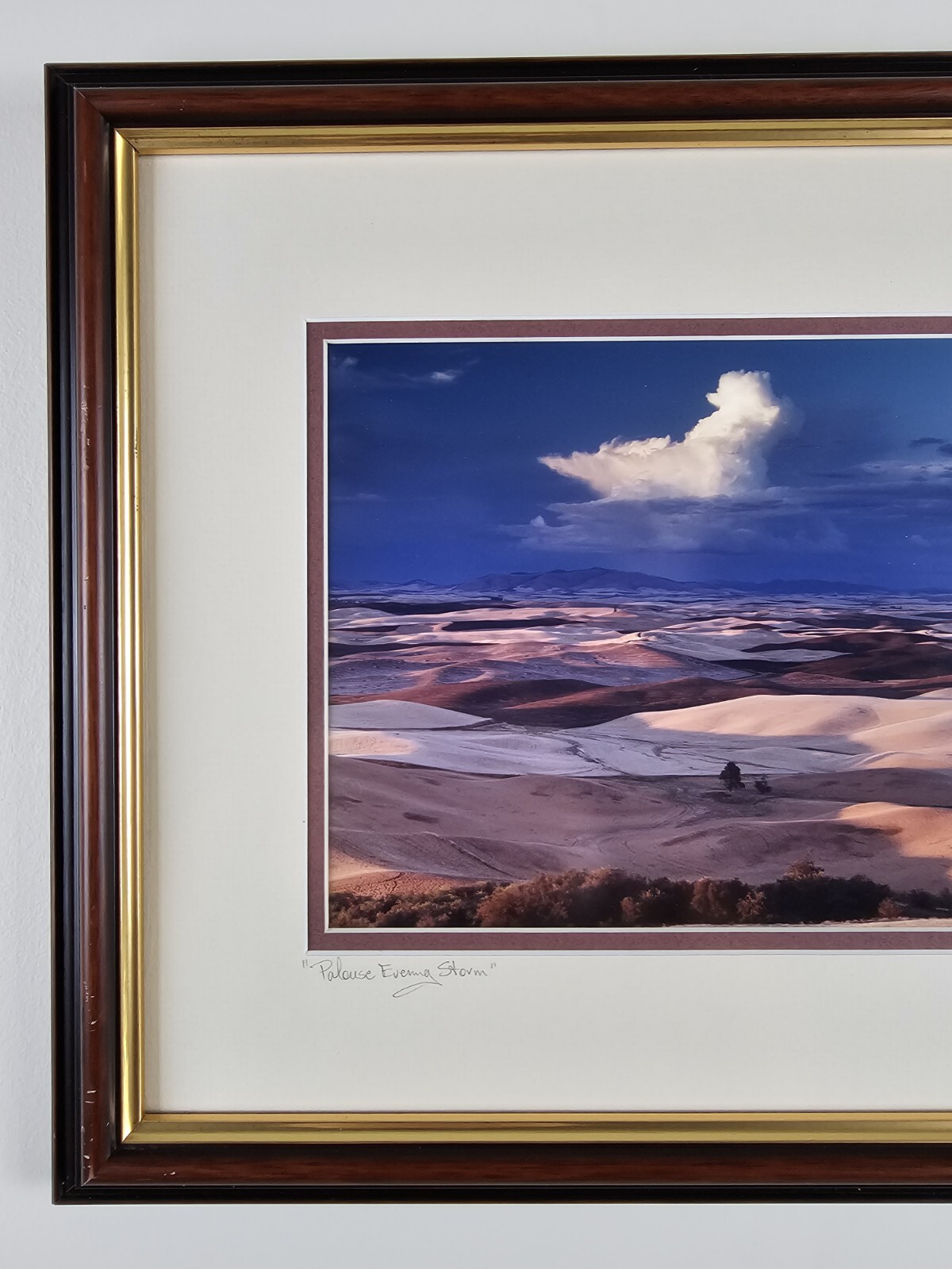 ART – Original Signed John Clement 35mm Photograph 16×13 Framed Modern Landscape