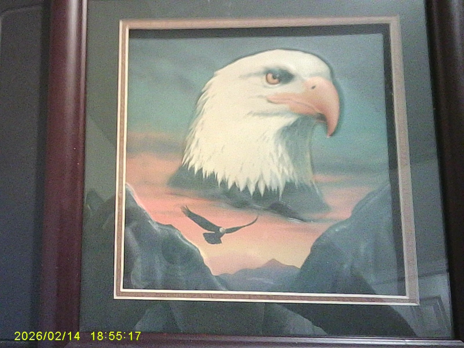 Small Framed American Bald Eagle Print Picture of eagle in flight 9×9