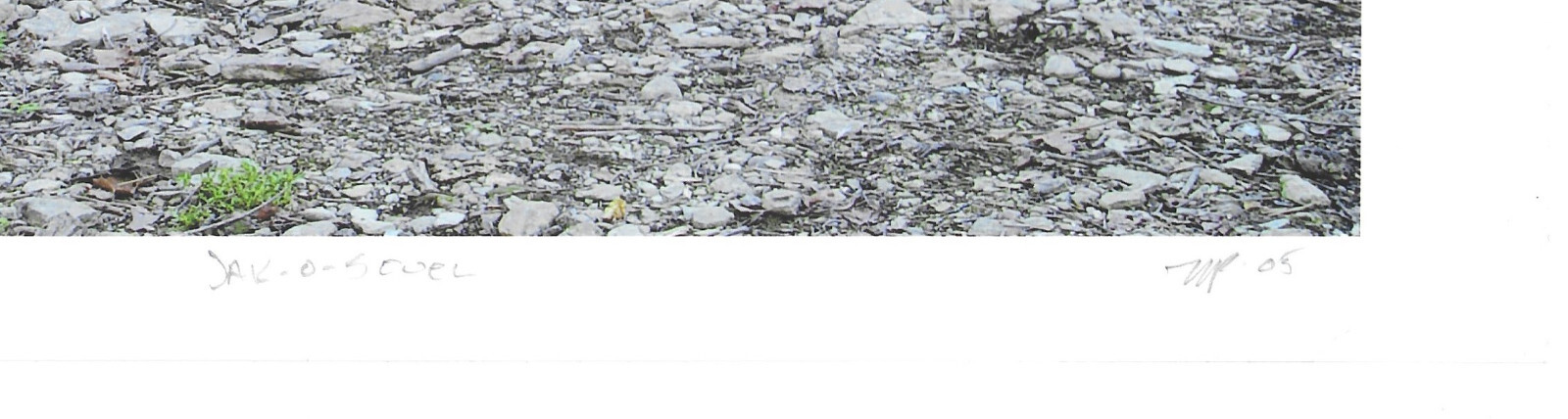 Mark Panza Photo 2005, matted 11″ X 14″, woman near river, Kaliedoscope