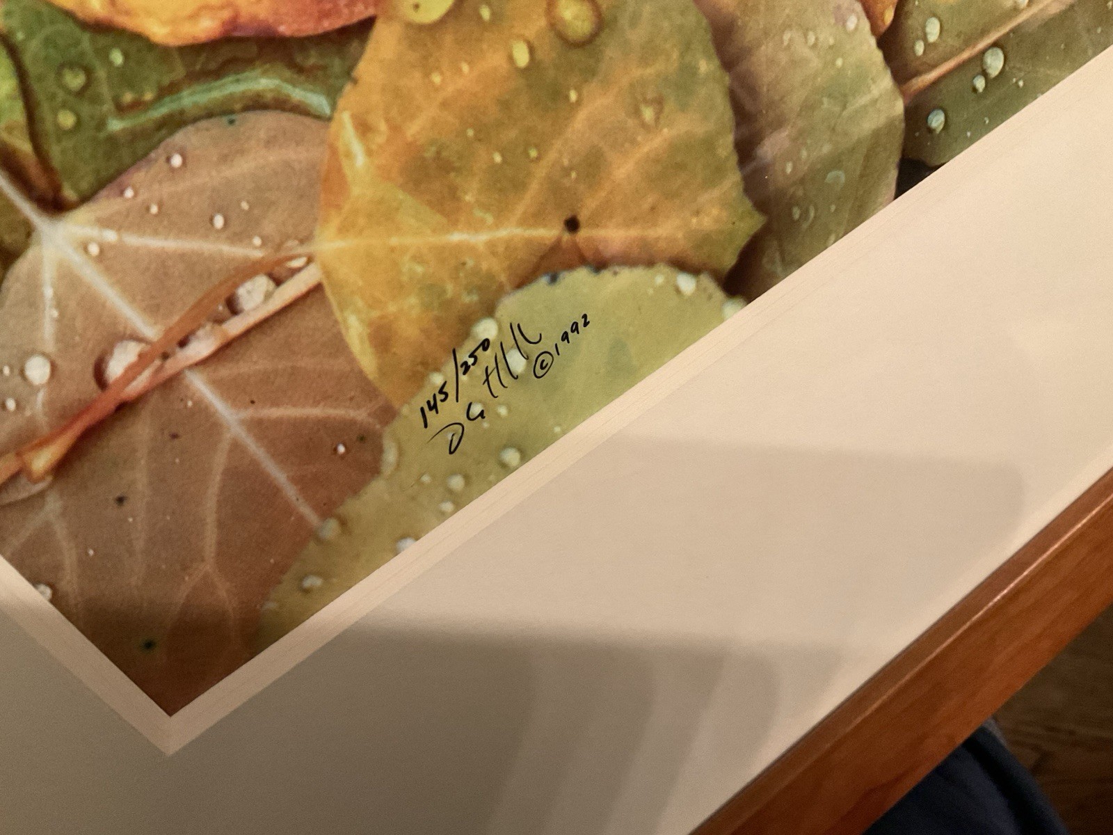 David Whitten Aspen Leaves, Utah 145/250 Signed & Framed