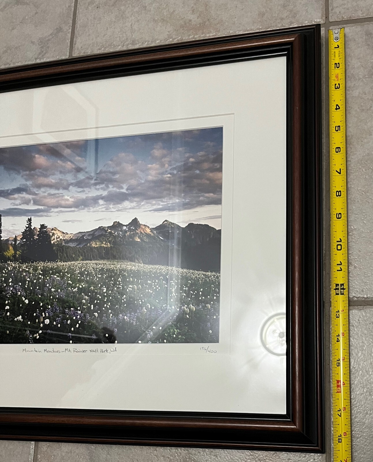 DOUG REMIEN Mountain Meadows Mt Rainer Park 156/400 Limited Signed Framed Photo