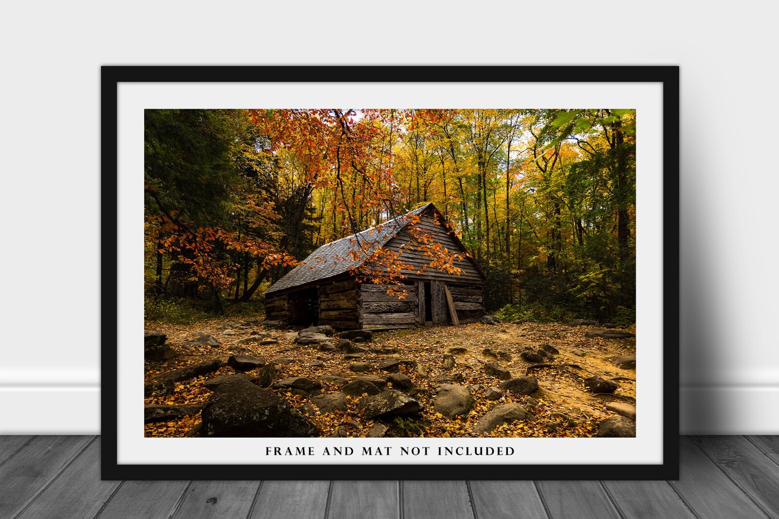 Old Barn Surrounded by Fall Foliage in Great Smoky Mountains Tennessee Print