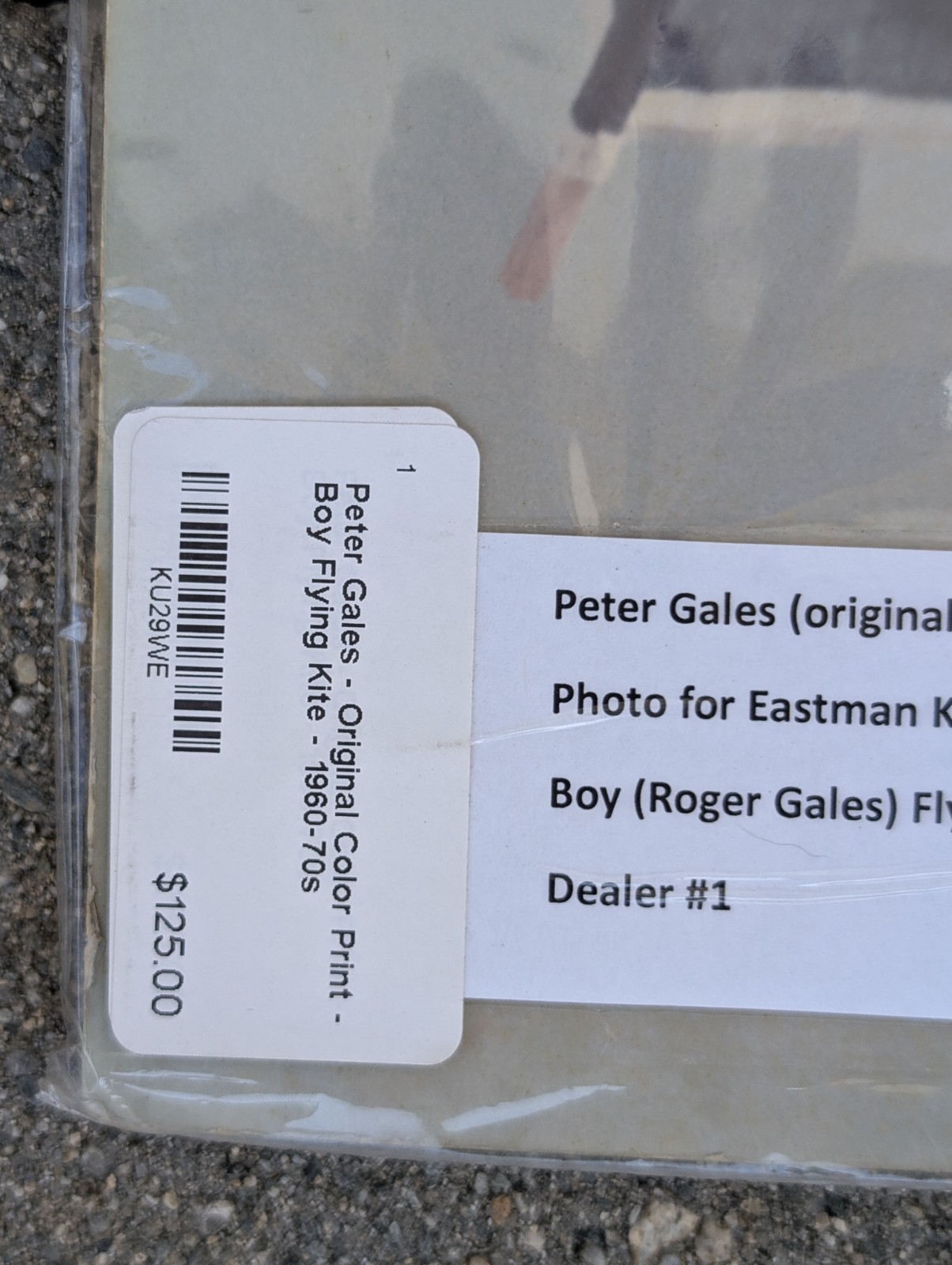 Peter Gales Original Color Print Eastman Kodak Boy Flying Kite Roger Gales 15×18
