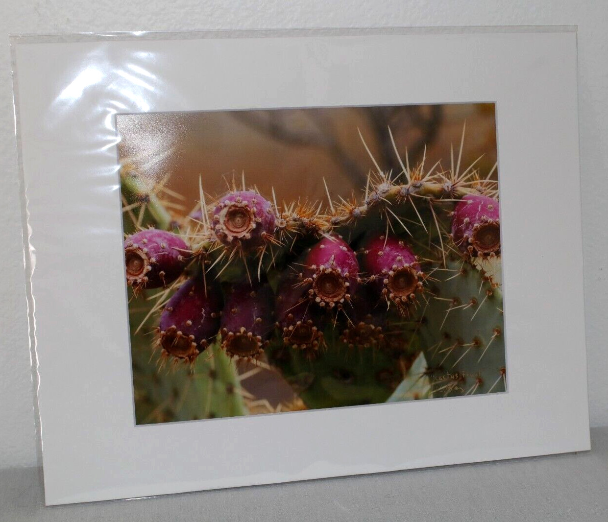 Prickly Pear Cactus Fruit Photo 8″ x 10″ in 11″ x 14″ Matte Signed by Kim Barry