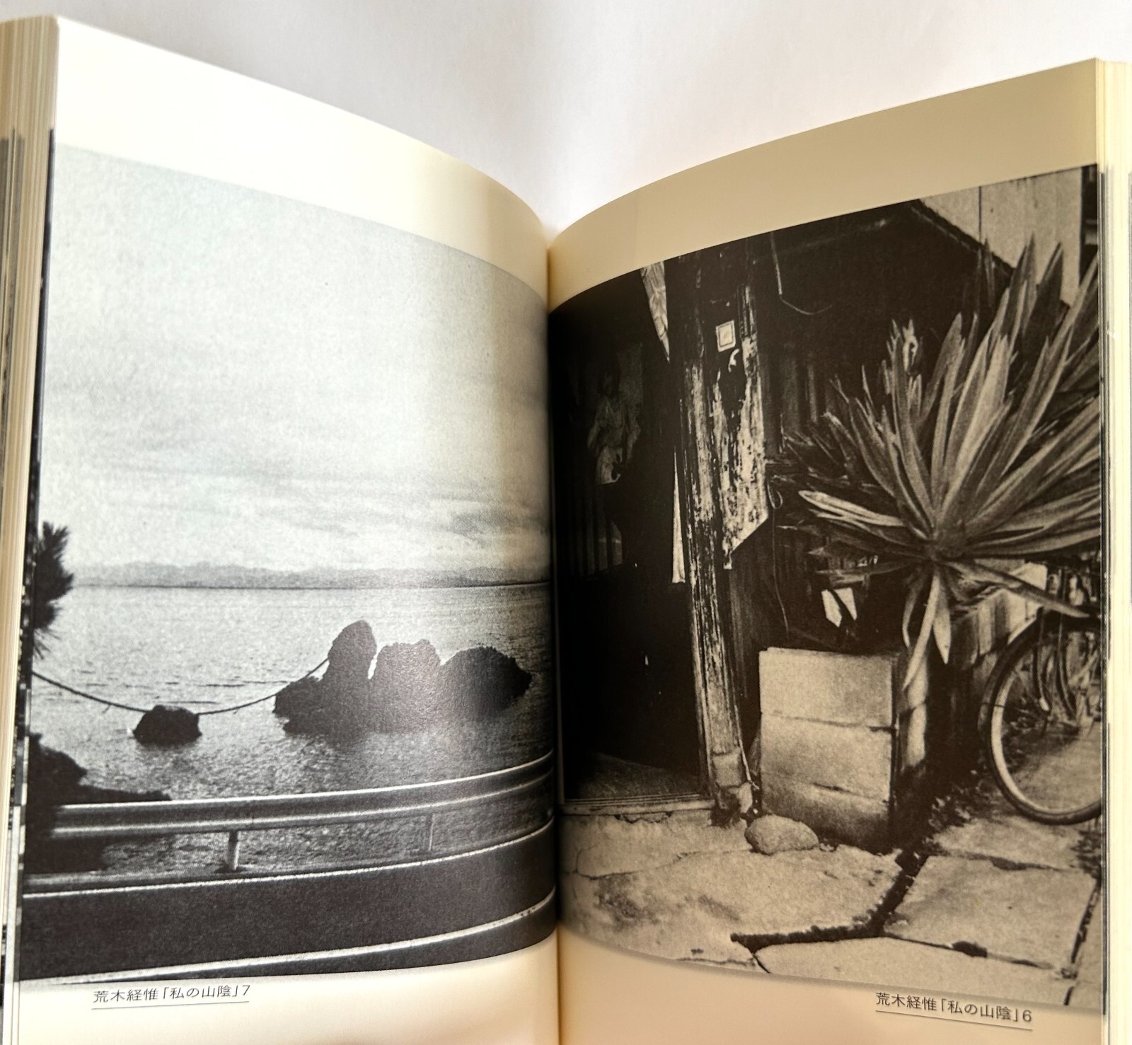 NOBUYOSHI ARAKI JOURNEY TO PHOTOGRAPHY Reissue JAPAN MINI PAPERBACK BOOK ’07 Z22