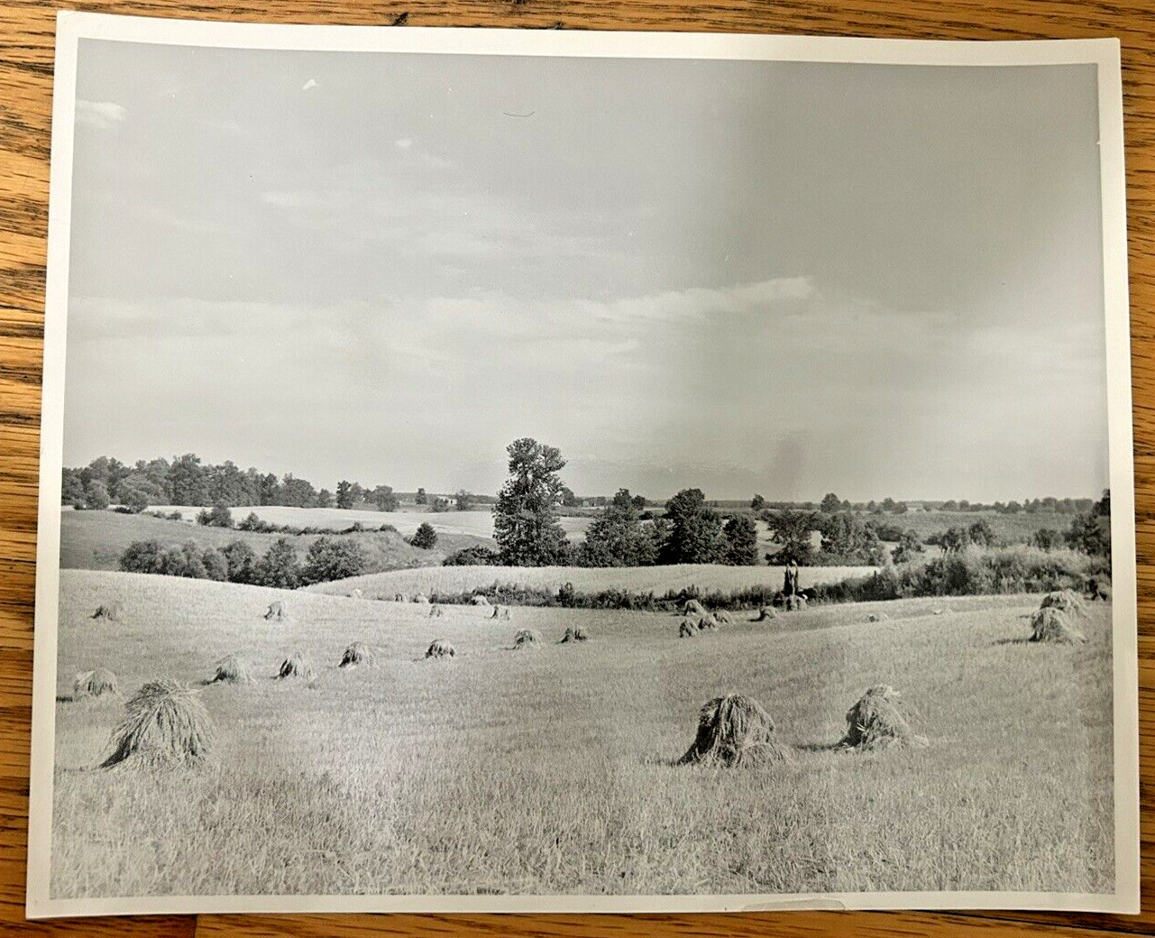 Arthur Gray Standard Oil Photographer Cleveland Ohio Americana Haystacks Monet!!