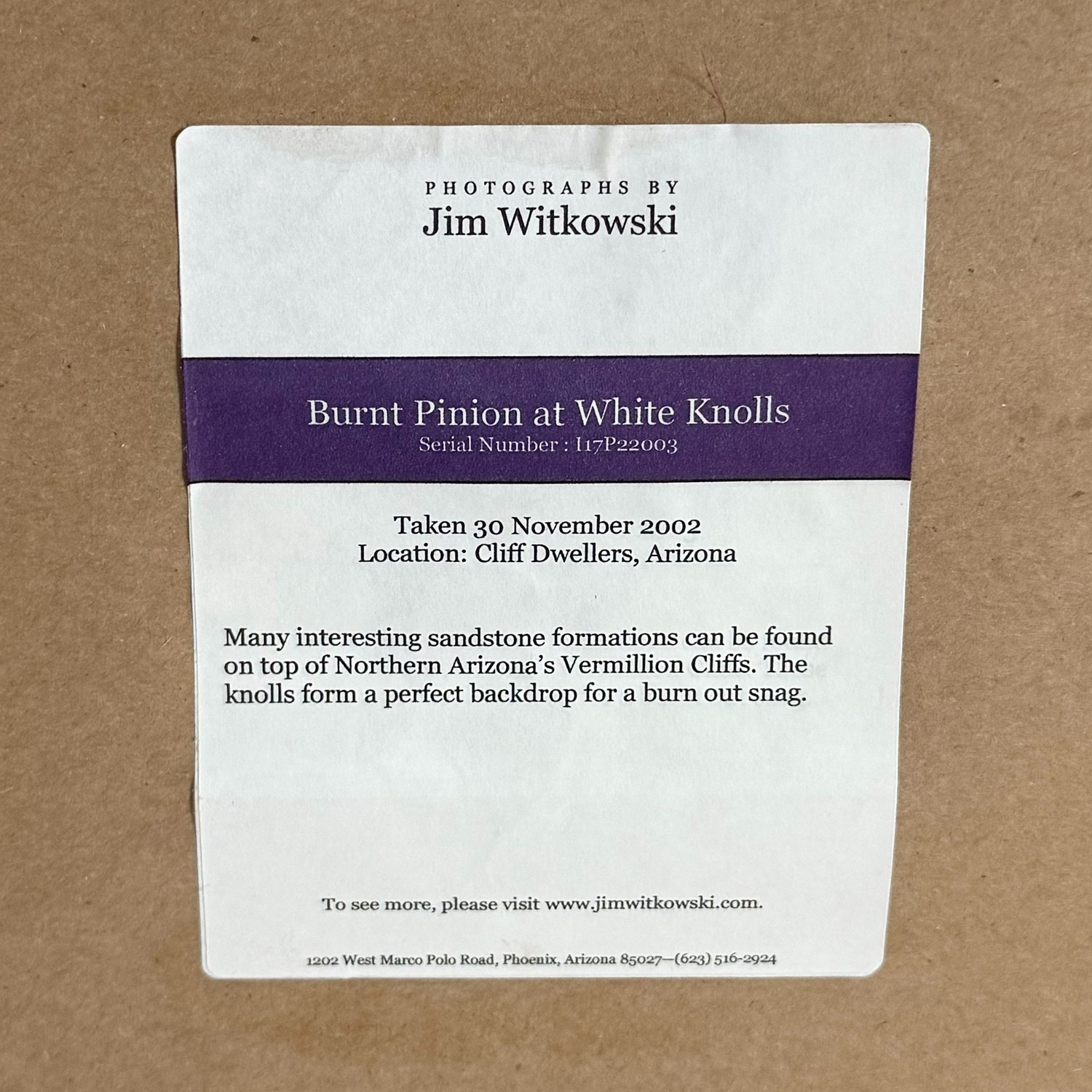 2002 Jim Witkowski 8×10 Color Photograph “Burnt Pinion at White Knolls” Arizona