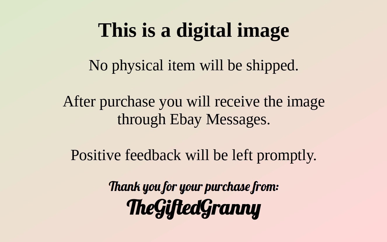 Digital Image Picture Photo Wallpaper Background Daffodils Yellow Yard Statue
