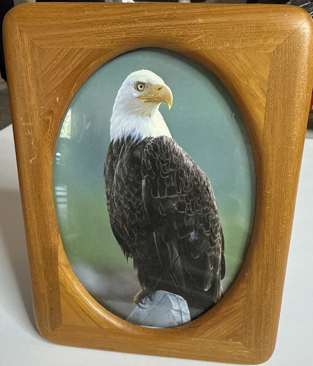Wood Picture Frame 8×6 -Oval Opening- Bald Eagle Photo Rustic Decor