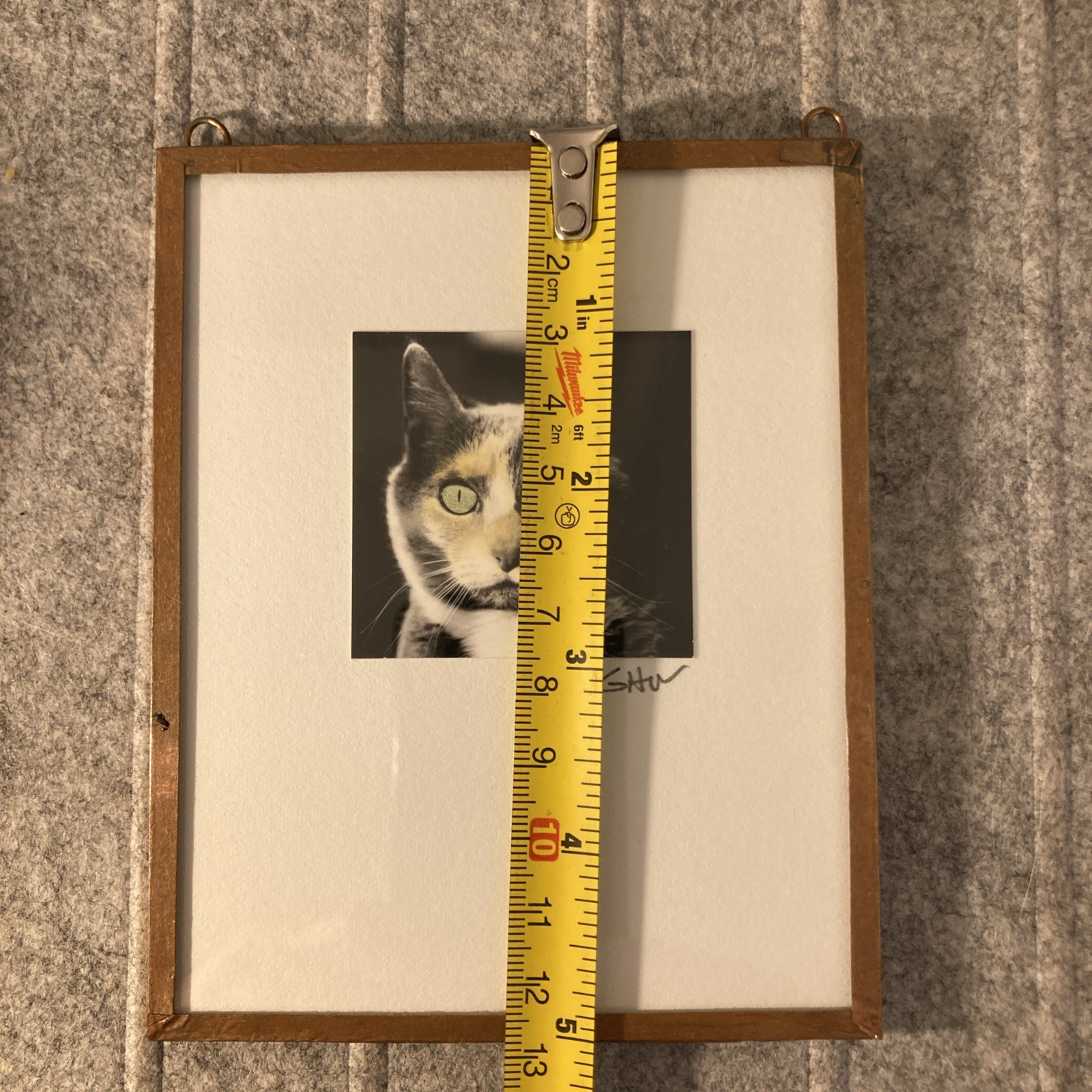 Calico Cat Portrait Soddered Copper Frame Photograph Miniature Artsy Tom Cat