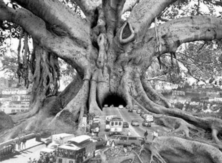 Thomas Barbey photomontage titled Tourist Trap
