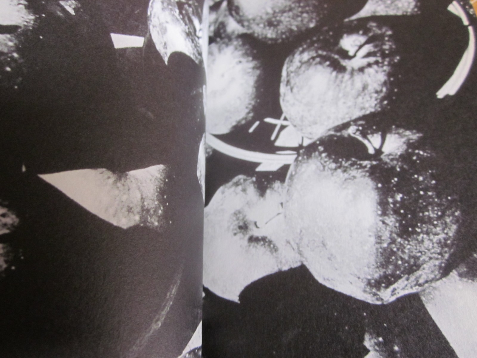 Daido MORIYAMA Photo Book NAKAJI JAPAN 2010 1 st. edition 1 st. print Obi band