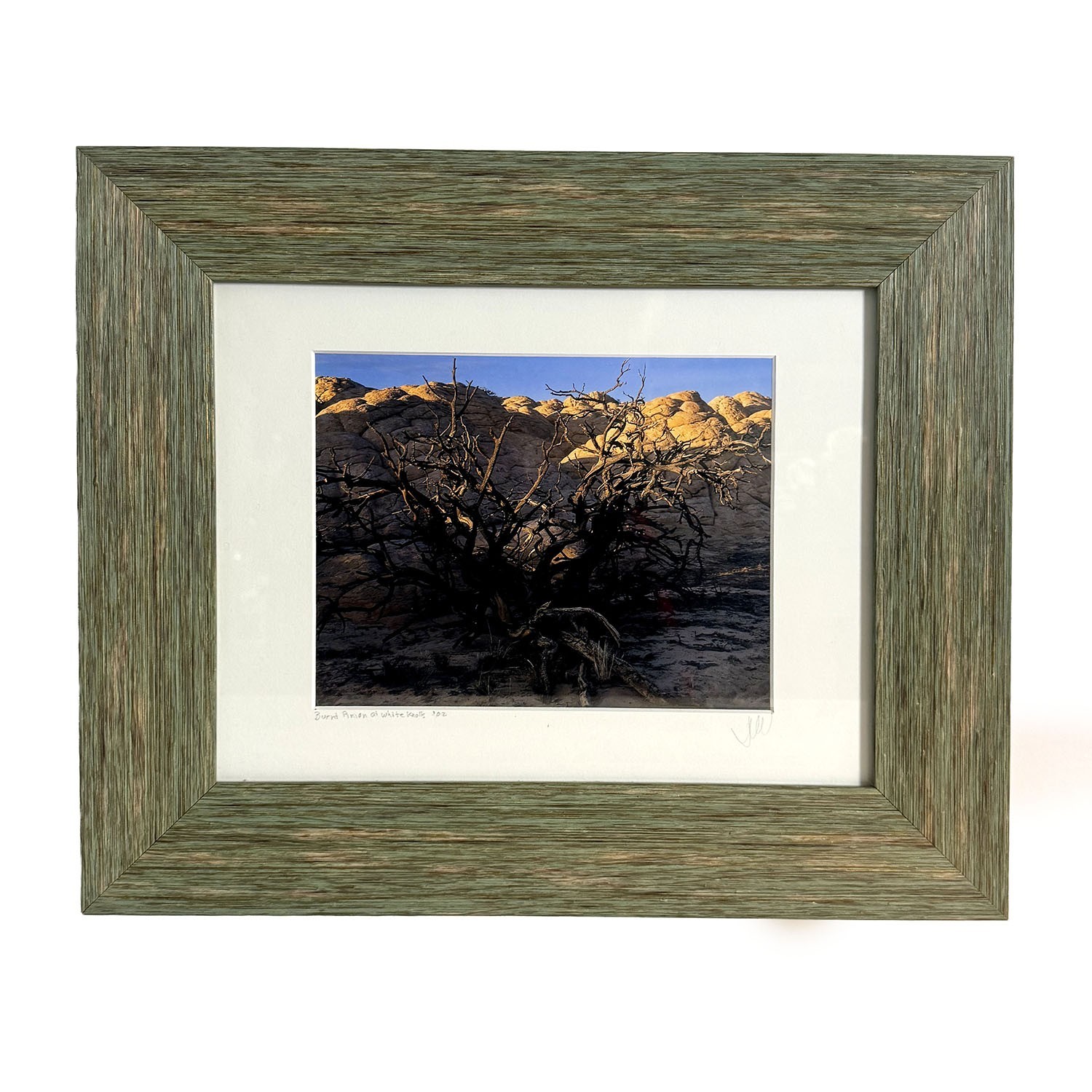 2002 Jim Witkowski 8×10 Color Photograph “Burnt Pinion at White Knolls” Arizona
