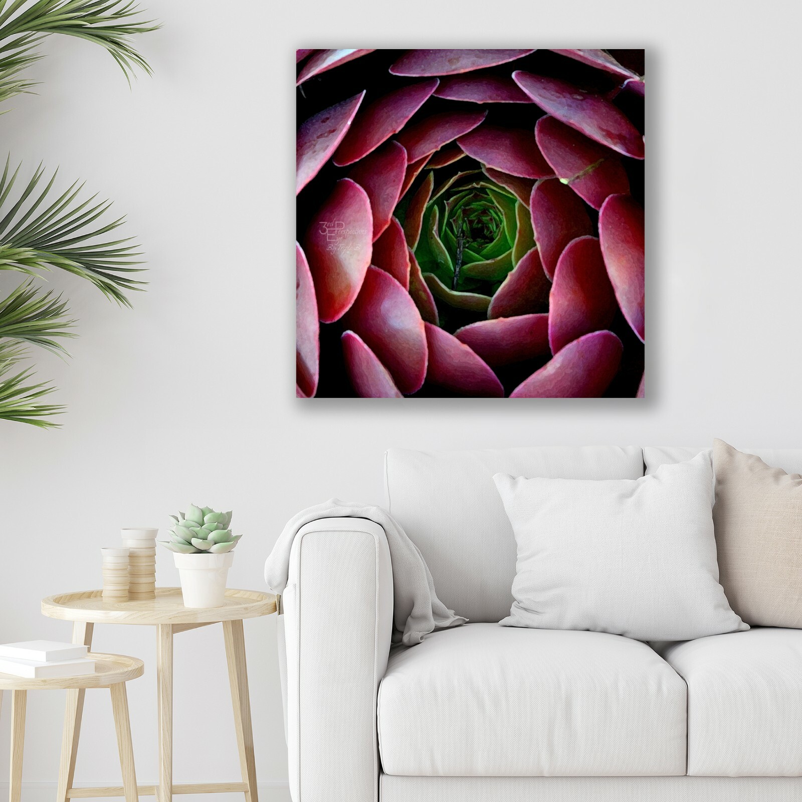 Succulent, Abstract Floral, Nature Art, Fine Art Photo on Metal, Canvas or Paper