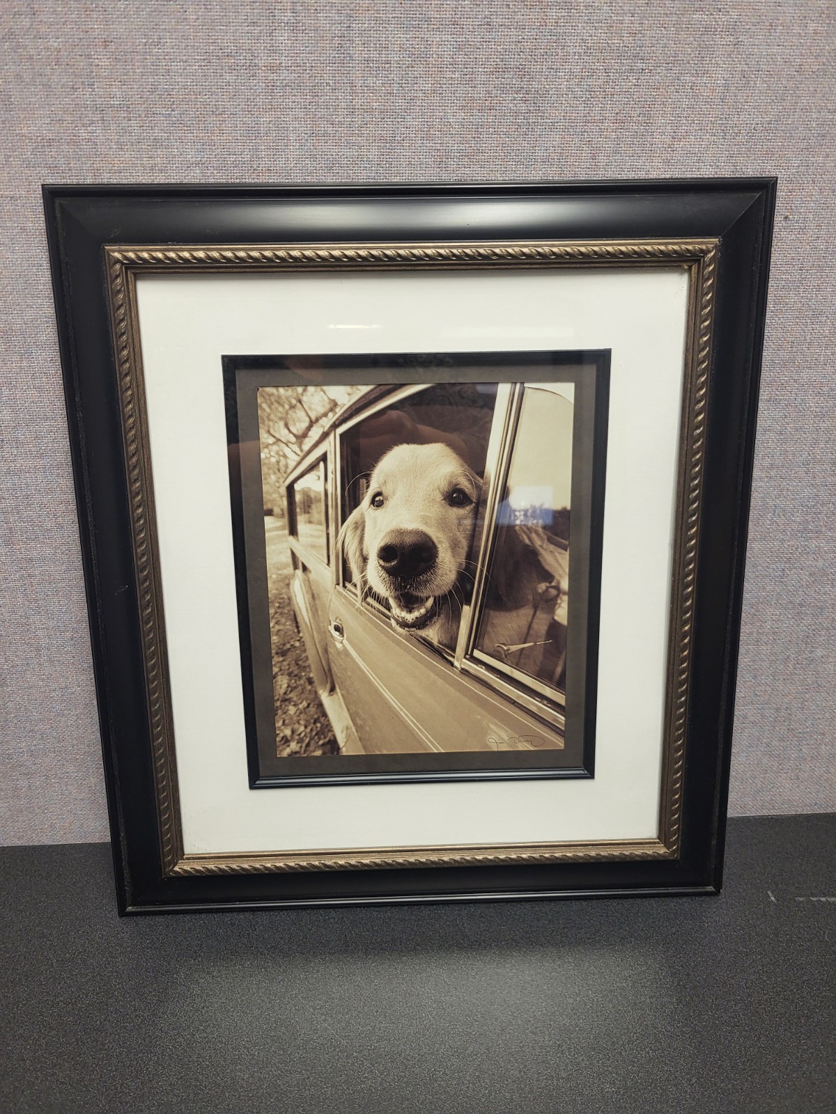 20th Century Jim Dratfield Photograph in original frame Golden Retriever signed
