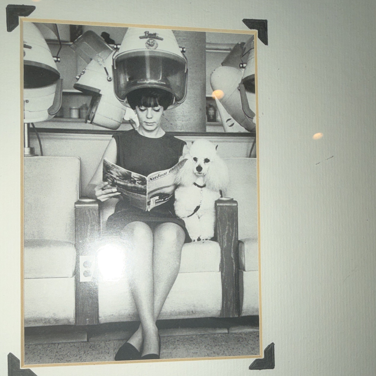 Vintage Black & White Photograph Woman Under Hair Dryer w/ Dog, Framed Matted