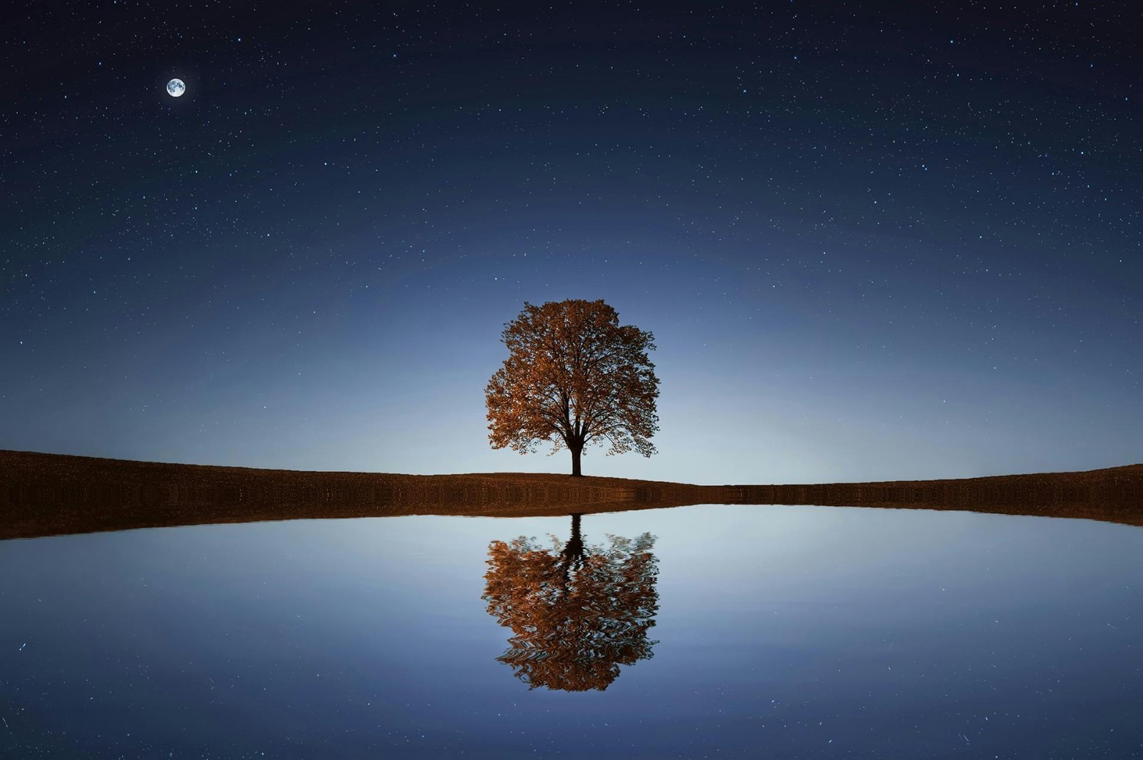 Digital Image Picture Photo Wallpaper Background Desktop AI Art Sample Product