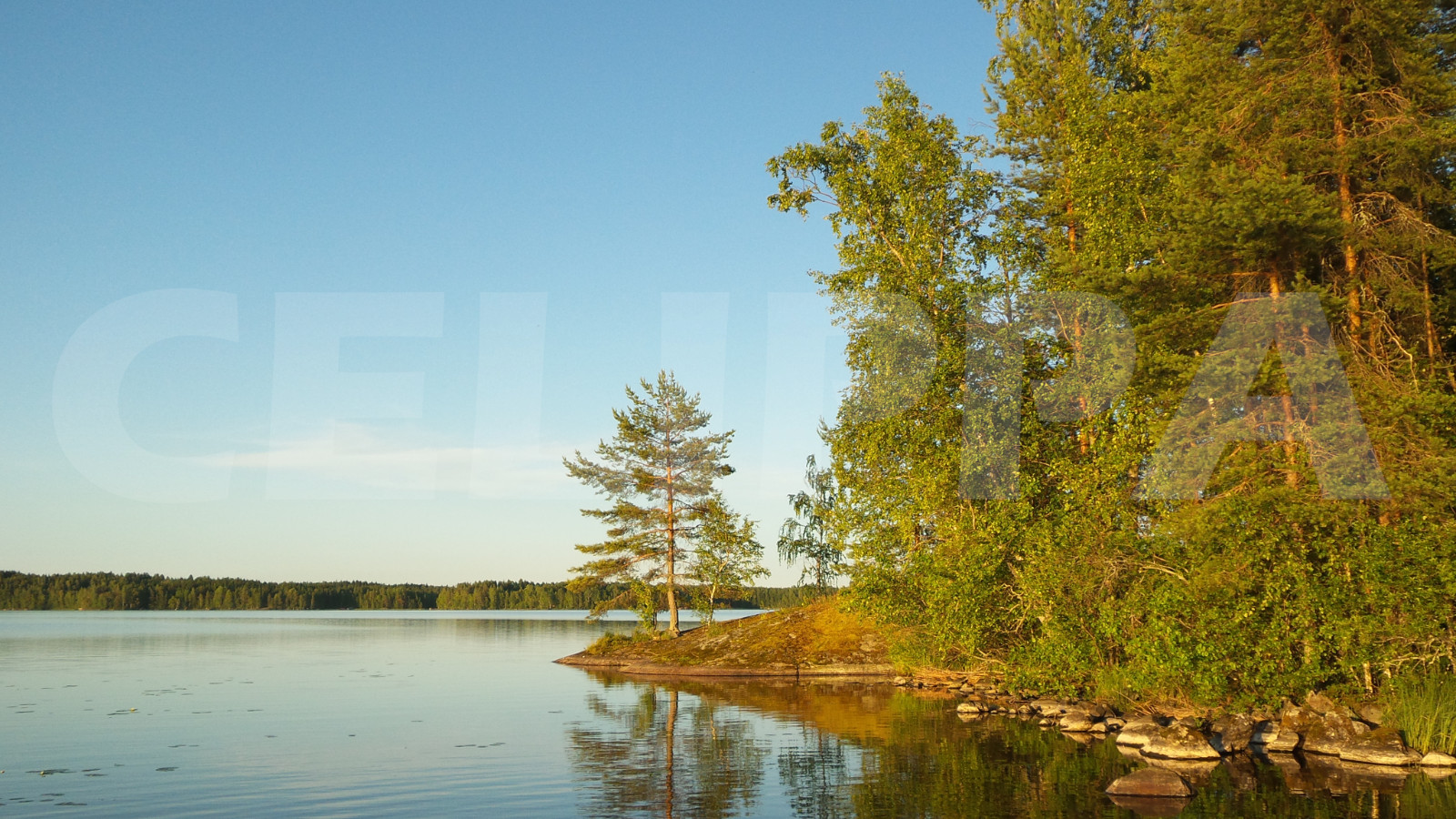 Photo Digital Product Wallpaper Image Picture Background Desktop Art -Lake.Fores