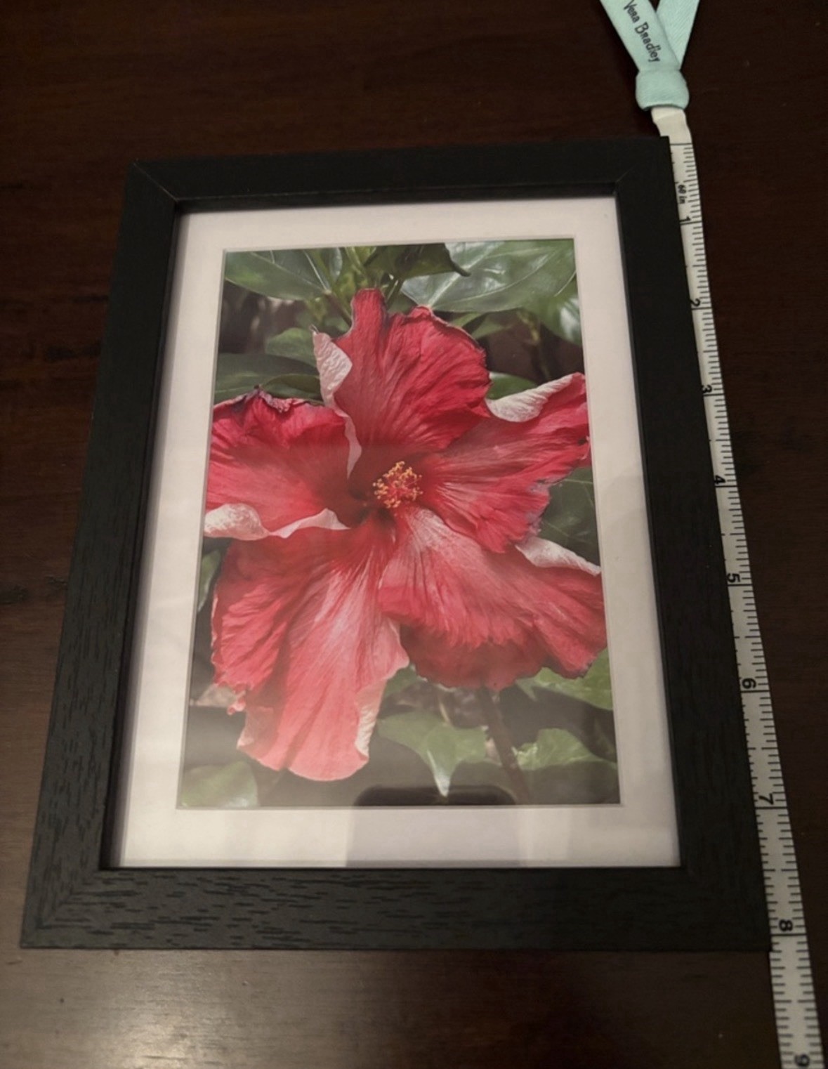Vibrant Pink Hibiscus Flower Print in Black Wood Frame