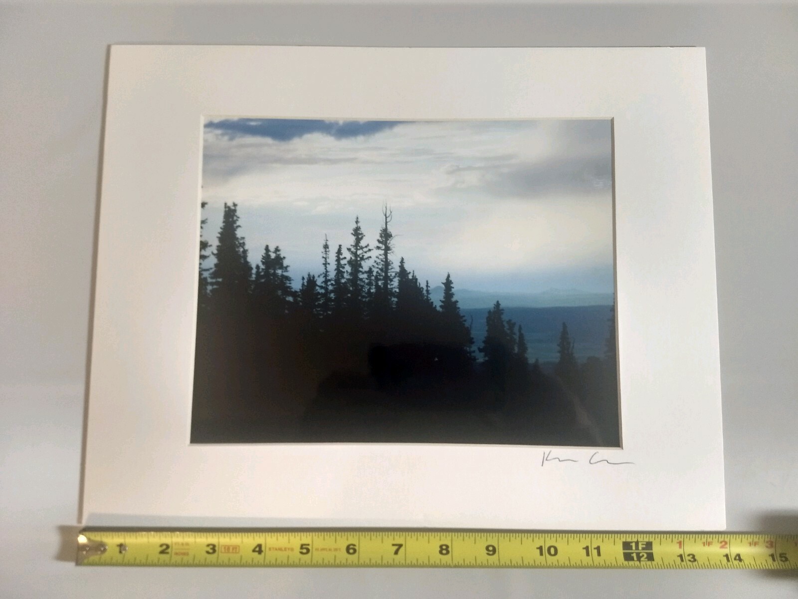 14″x11″ Matted Picture Photo Landscape Photography Print Sky Mountains Trees