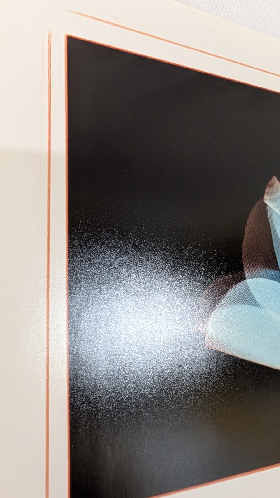X-ray artwork of a flower by contemporary NY photo artist Mary Pinto 31/100