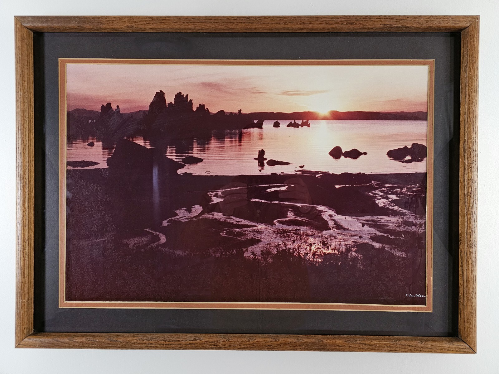 ART – Large Original Signed P. Van Dolson 35mm Photograph 29×21 Framed Landscape