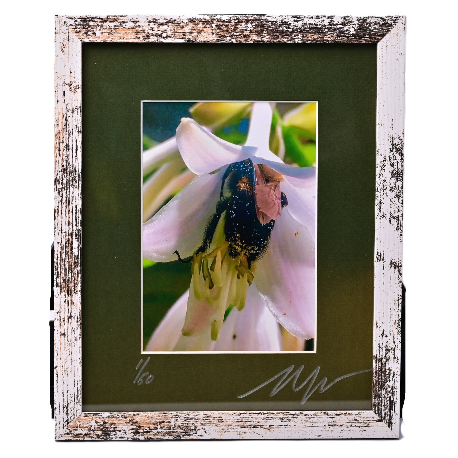 MICHAEL RAY Original Vintage Signed Long Island NY Floral Still Life Photograph