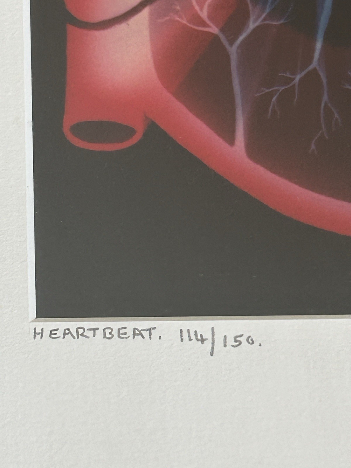 Abstract Photo Litho Matted & Framed ’82 Limit Edition 114/150 Alex Pietersen.
