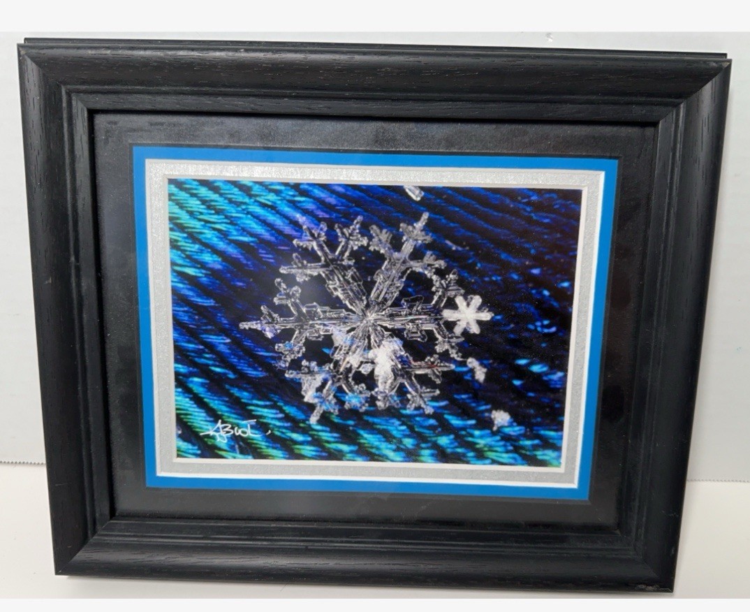 Karla Booth Macro Photography Snowflakes On Peacock Feathers Signed Art Snow COA