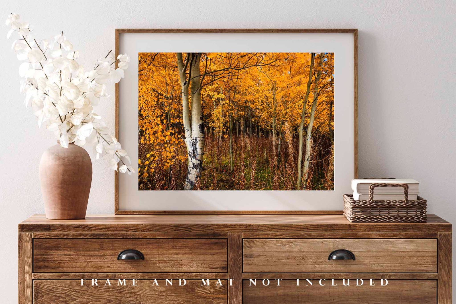 Aspen Trees Photography Print: Wyoming Autumn Forest Grove Western Nature Photo