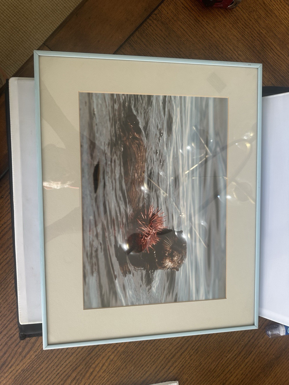 Limited Edition Signed Fine-Art Nature Photograph By Thomas Mangelsen