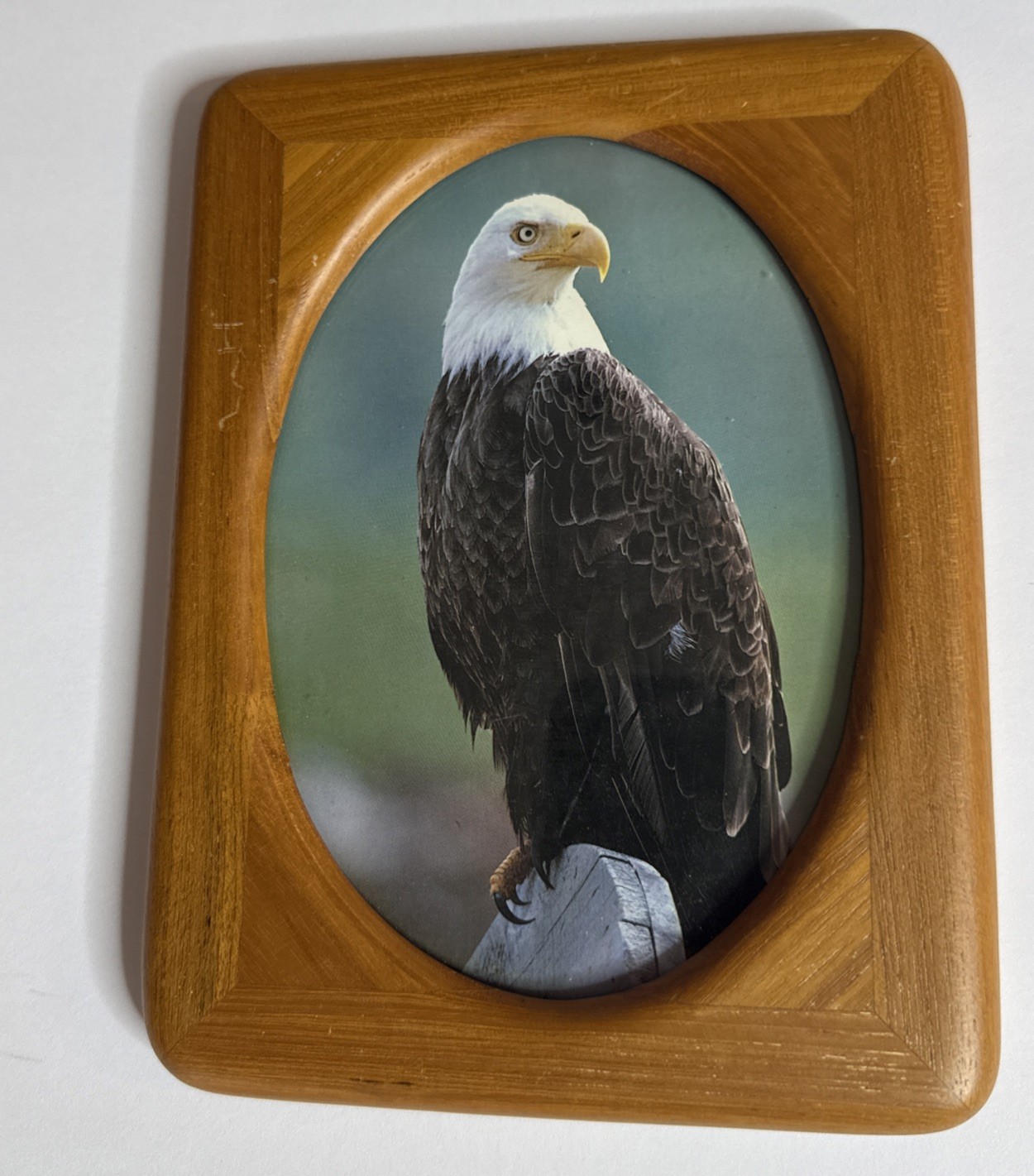 Wood Picture Frame 8×6 -Oval Opening- Bald Eagle Photo Rustic Decor