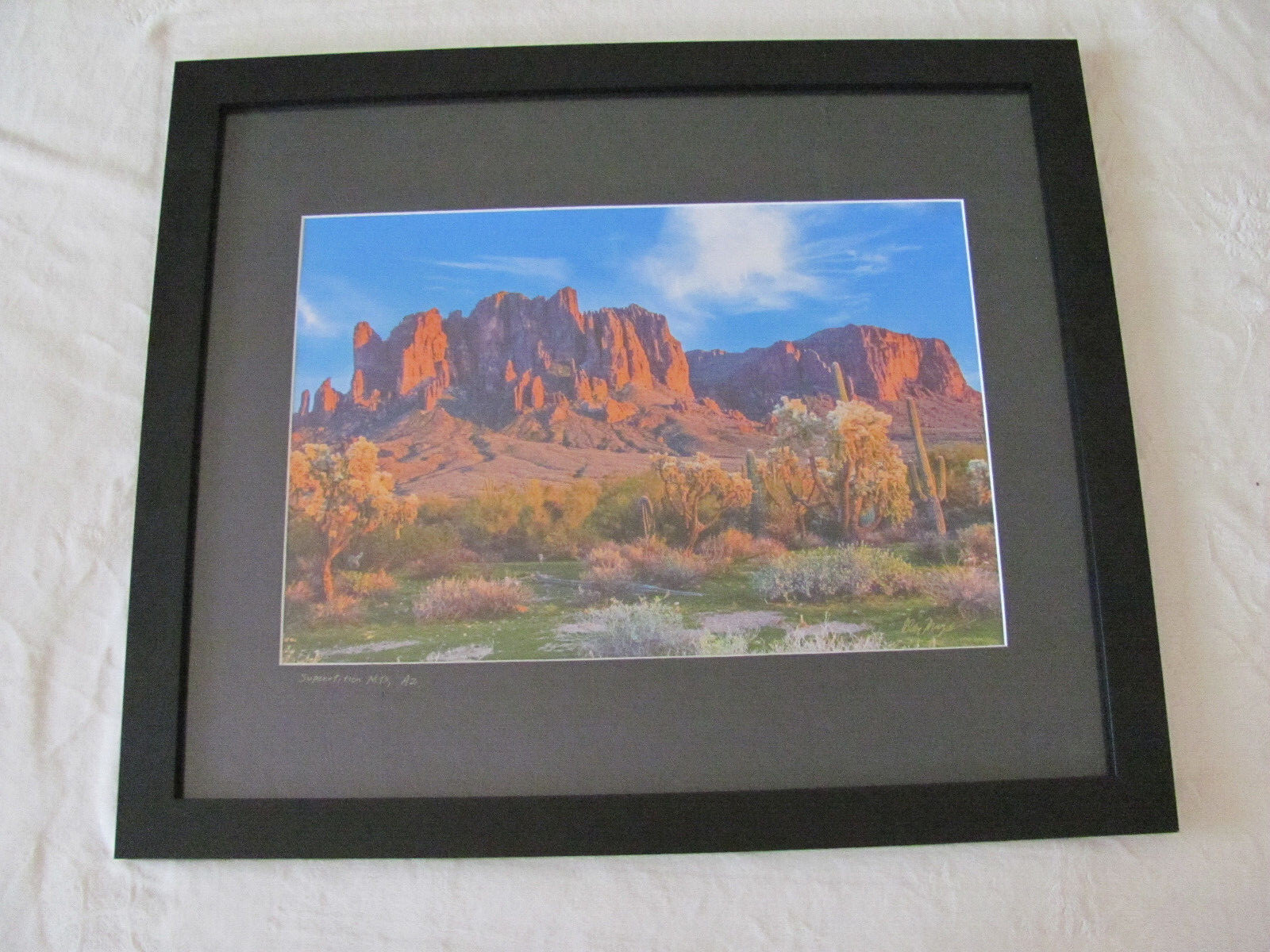 Superstition Mountains Arizona-Photograph- Framed & Matted- Signed Alan Mays?