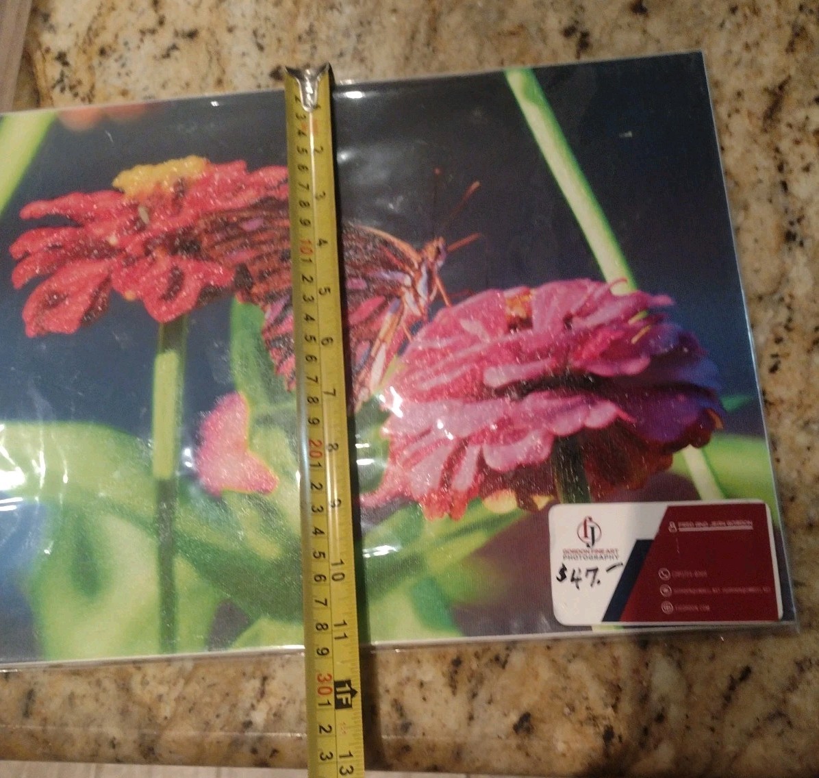 Butterfly Flowers Photography Nature Original Fine Art Photograph New