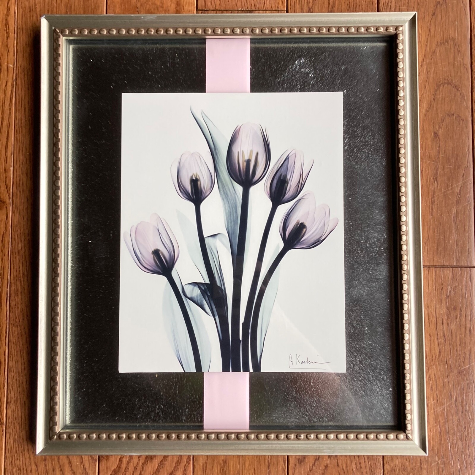 Tulips By Albert Koetsier Artist Signed Radiographic Xray Radio Photography Art