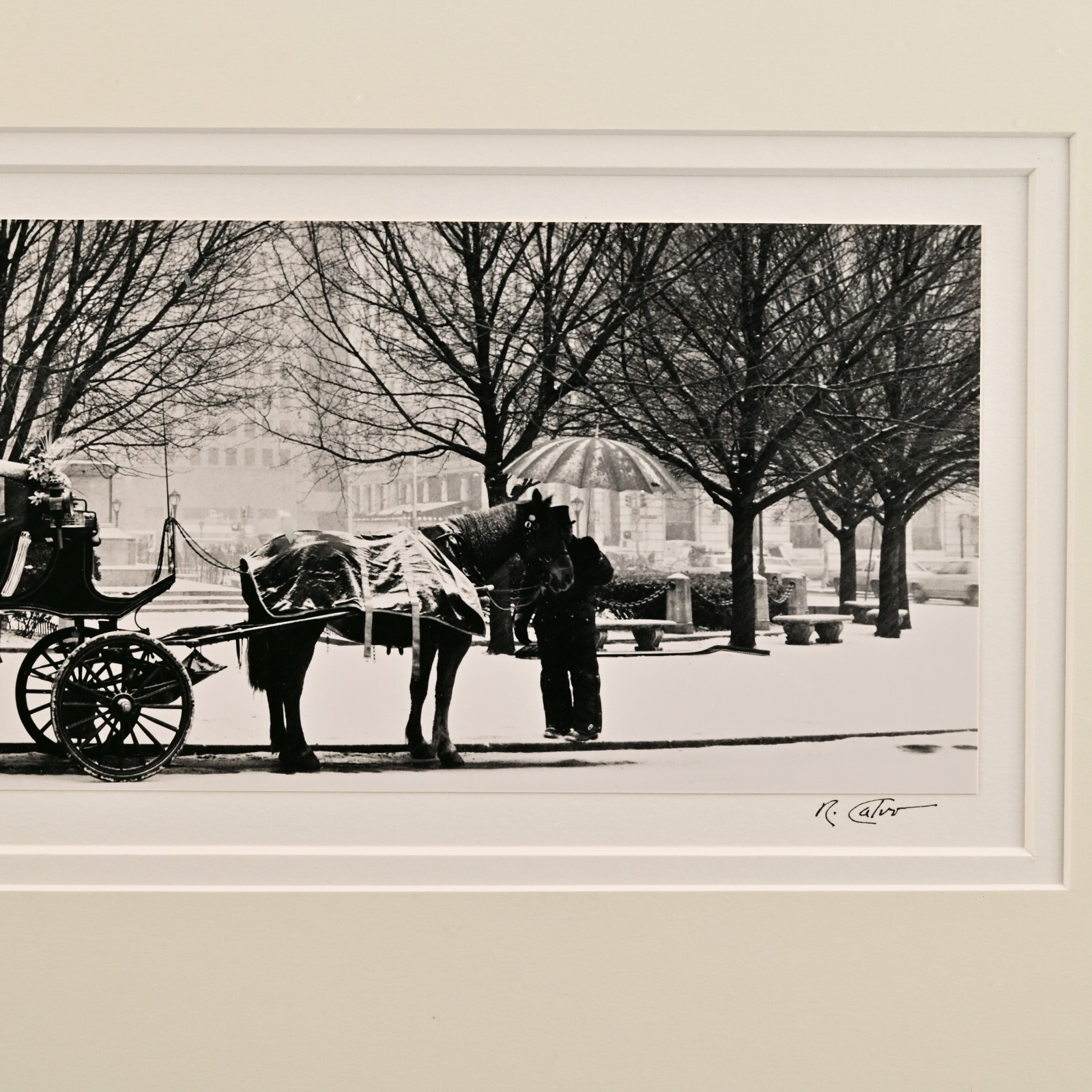 RICHARD CALVO Original Vintage Signed Central Park NY Horse Carriage Photograph