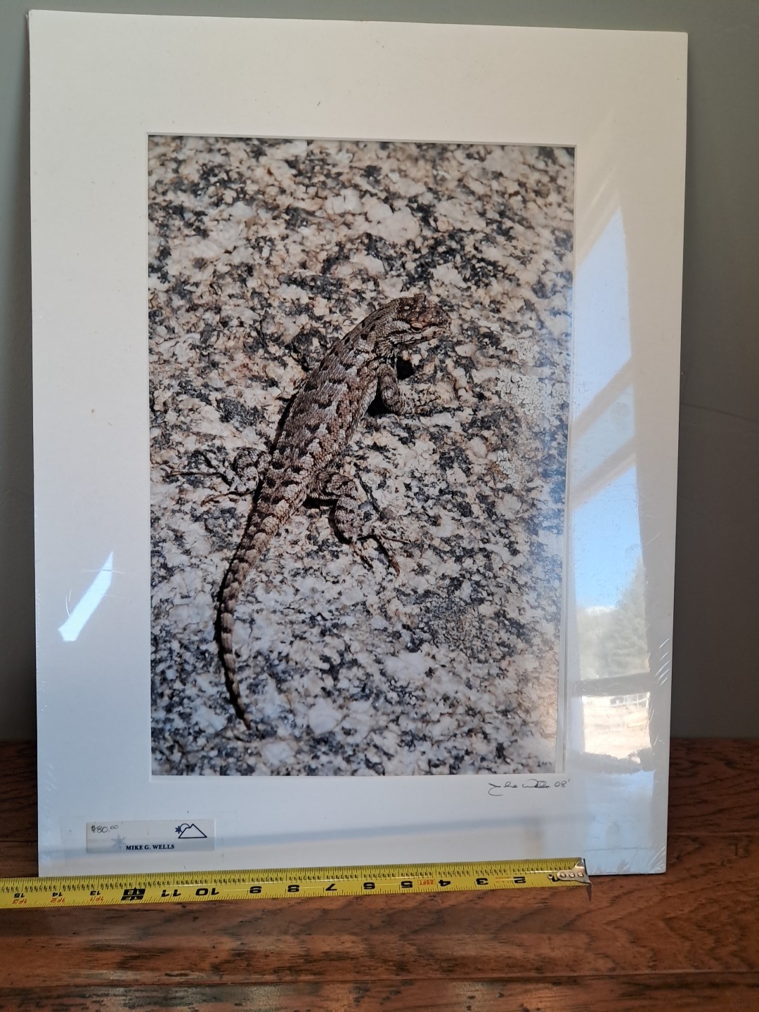 Mike Wells Lizard On Rock “Colorado Prairie” Signed Art Picture Photo