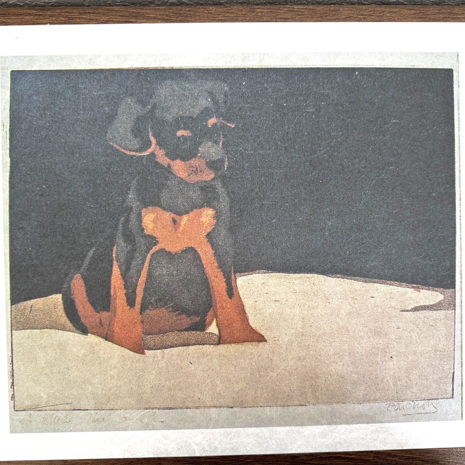 Rottweiler Puppy Dog Art Photo Poster Print Rottie Wall Art Home Decor 19×13″
