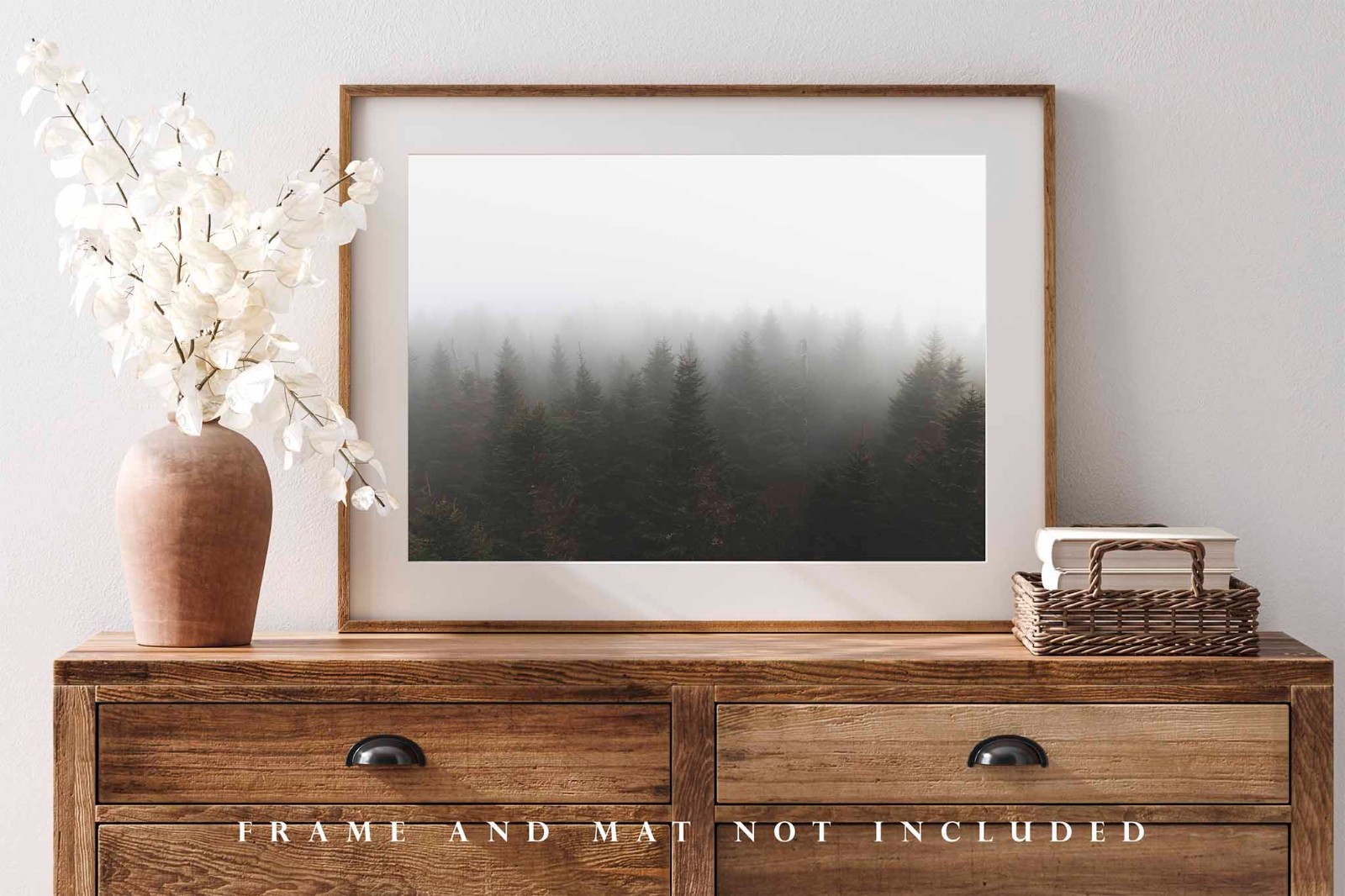 Forest Photography Print: Tennessee Great Smoky Mountains Clingmans Dome Photo