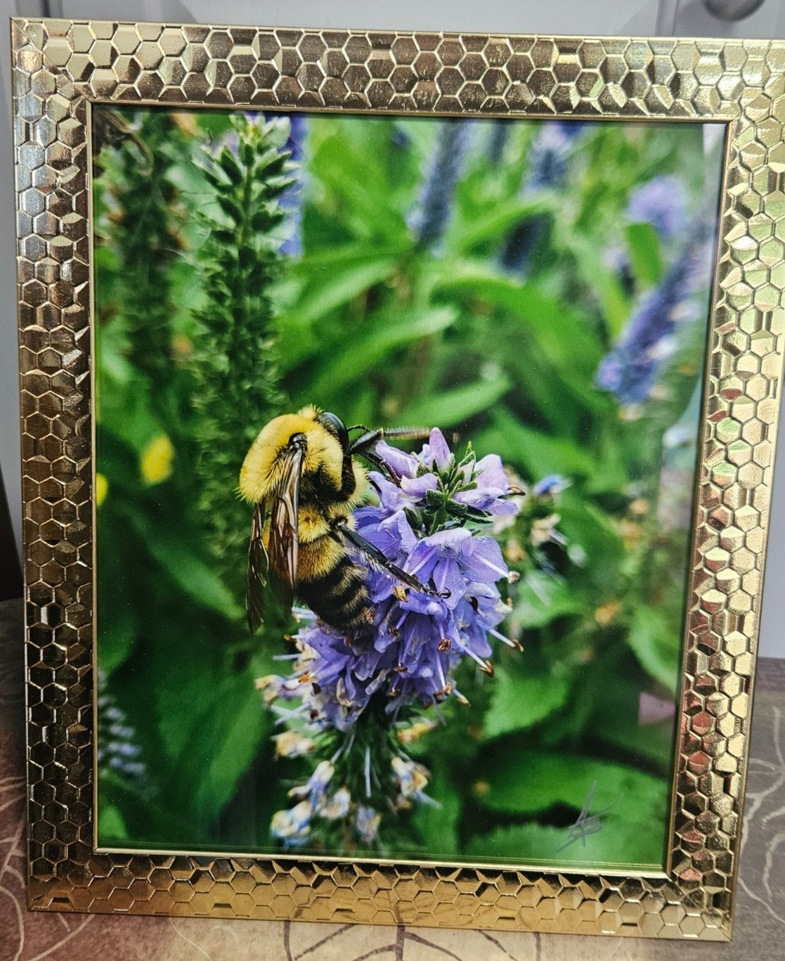 8×10 Signed Bumblebee Nature Photo Ornate Gold Honeycomb Frame by Audra Deane