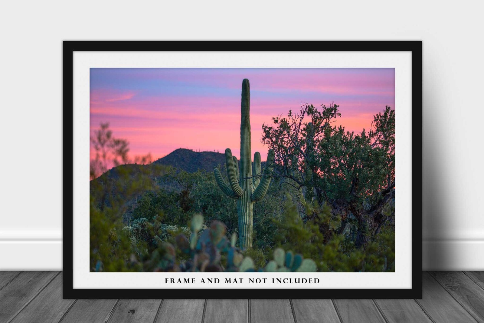 Saguaro Cactus Sunset Arizona Sonoran Desert Southwest Photography Print